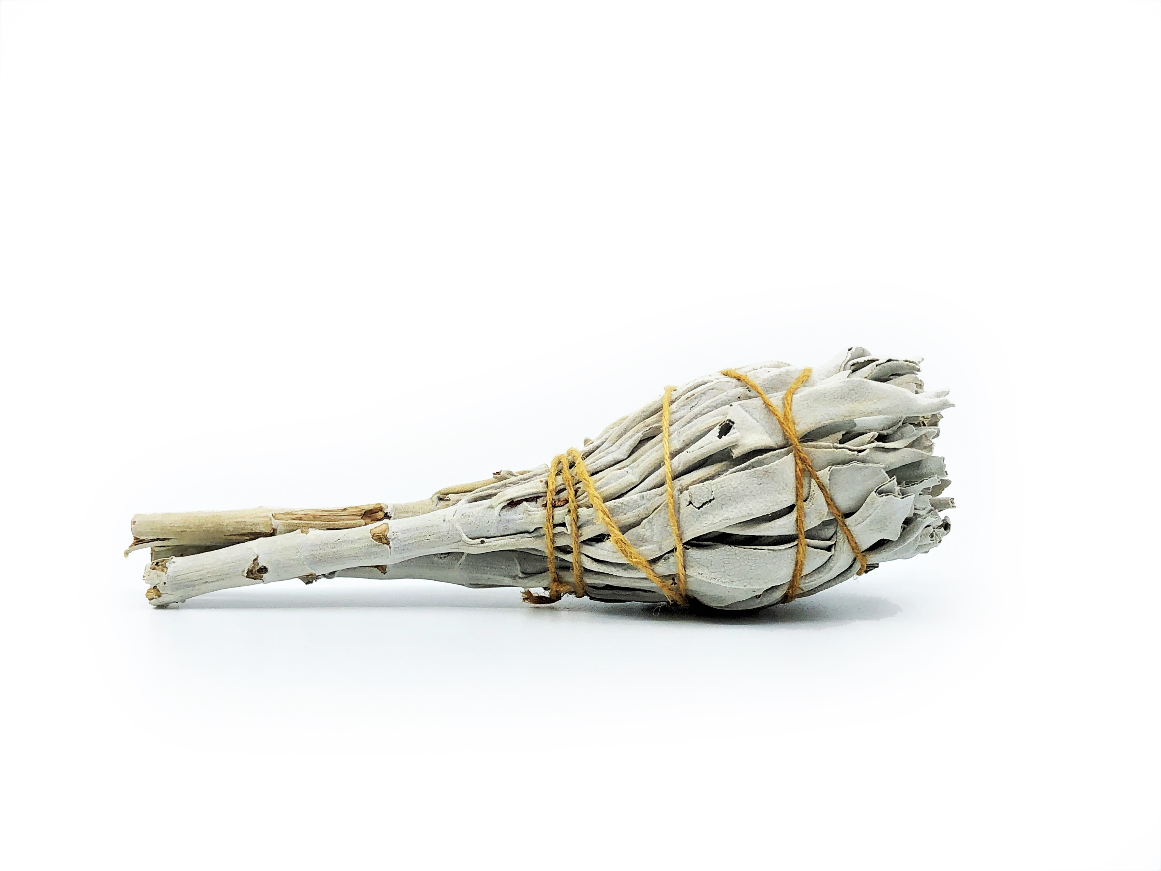 White Sage Buntar (Salvia apiana) - 9