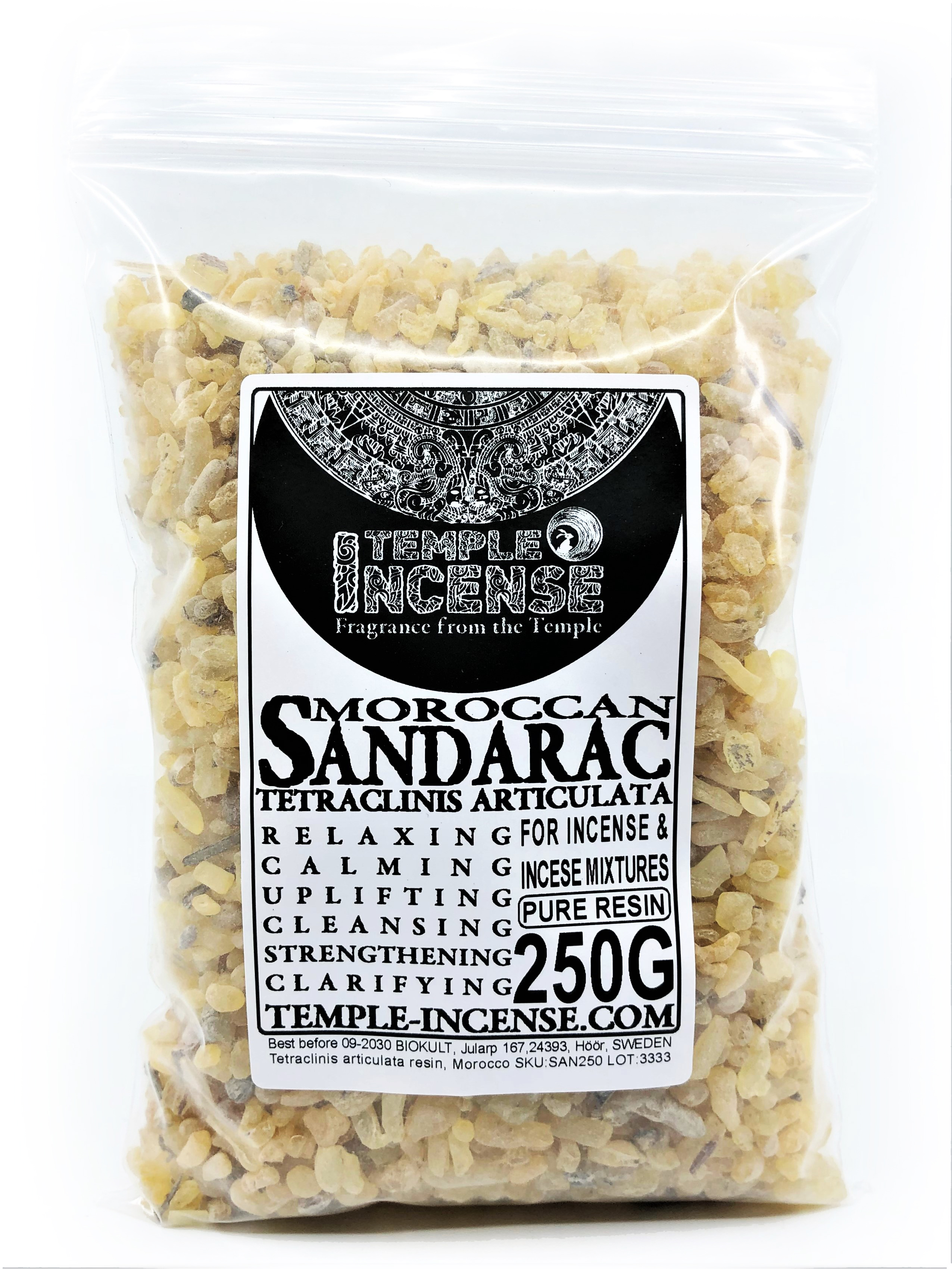 Sandarac (Tetraclinis articulata) - 8