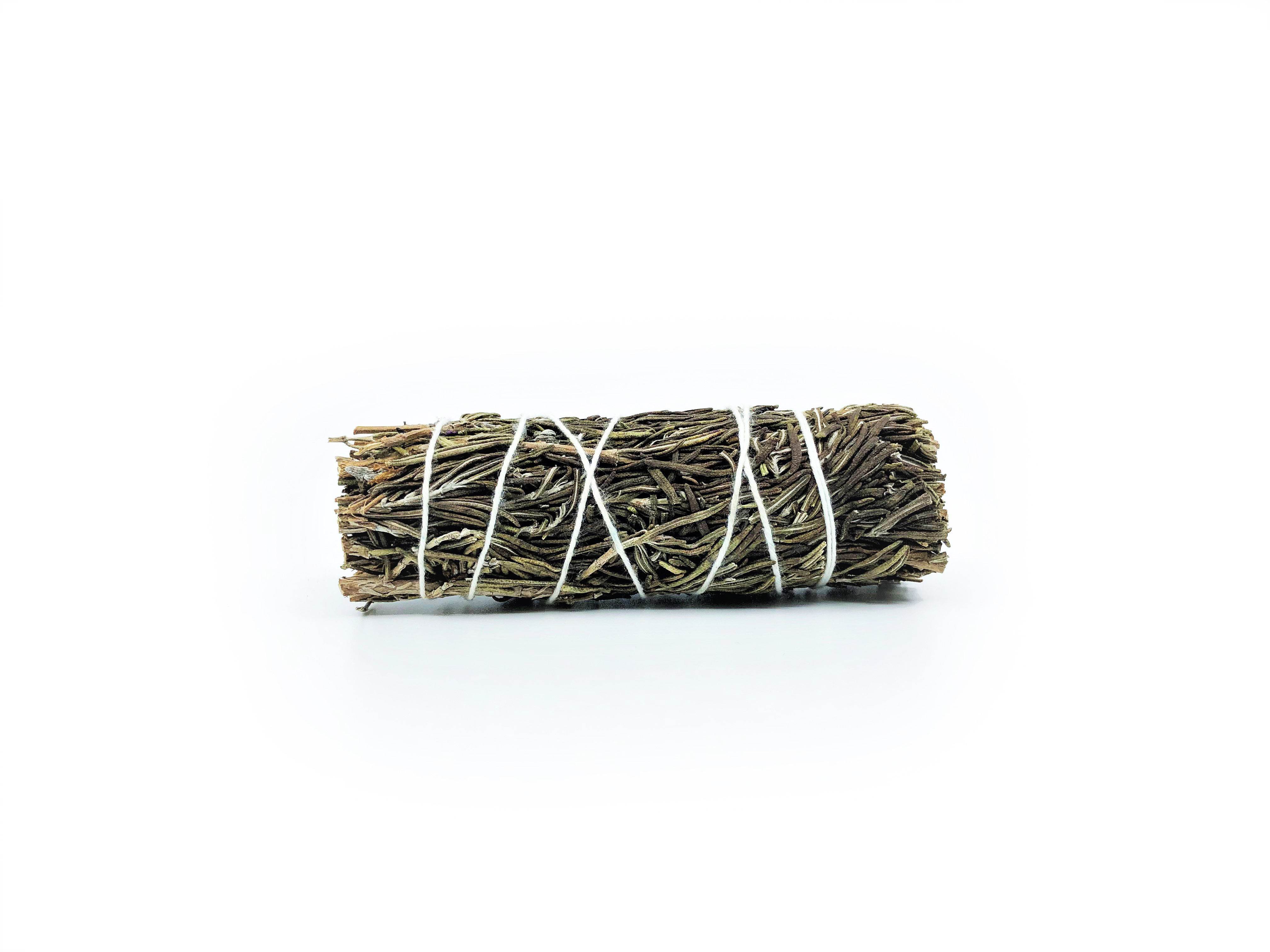 Rosmarin Buntar (Rosmarinus officinalis) - 5