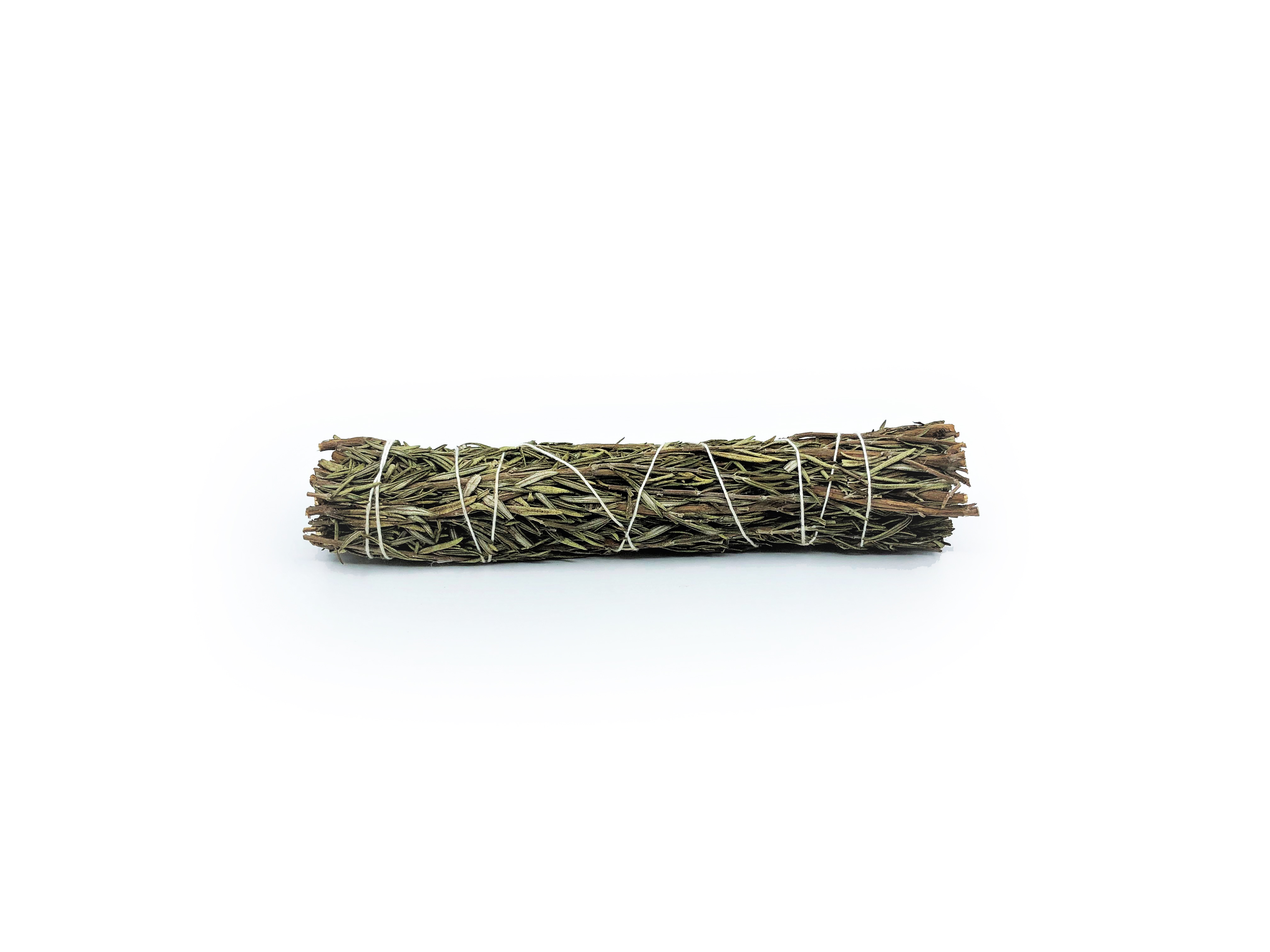 Rosmarin Buntar (Rosmarinus officinalis) - 3