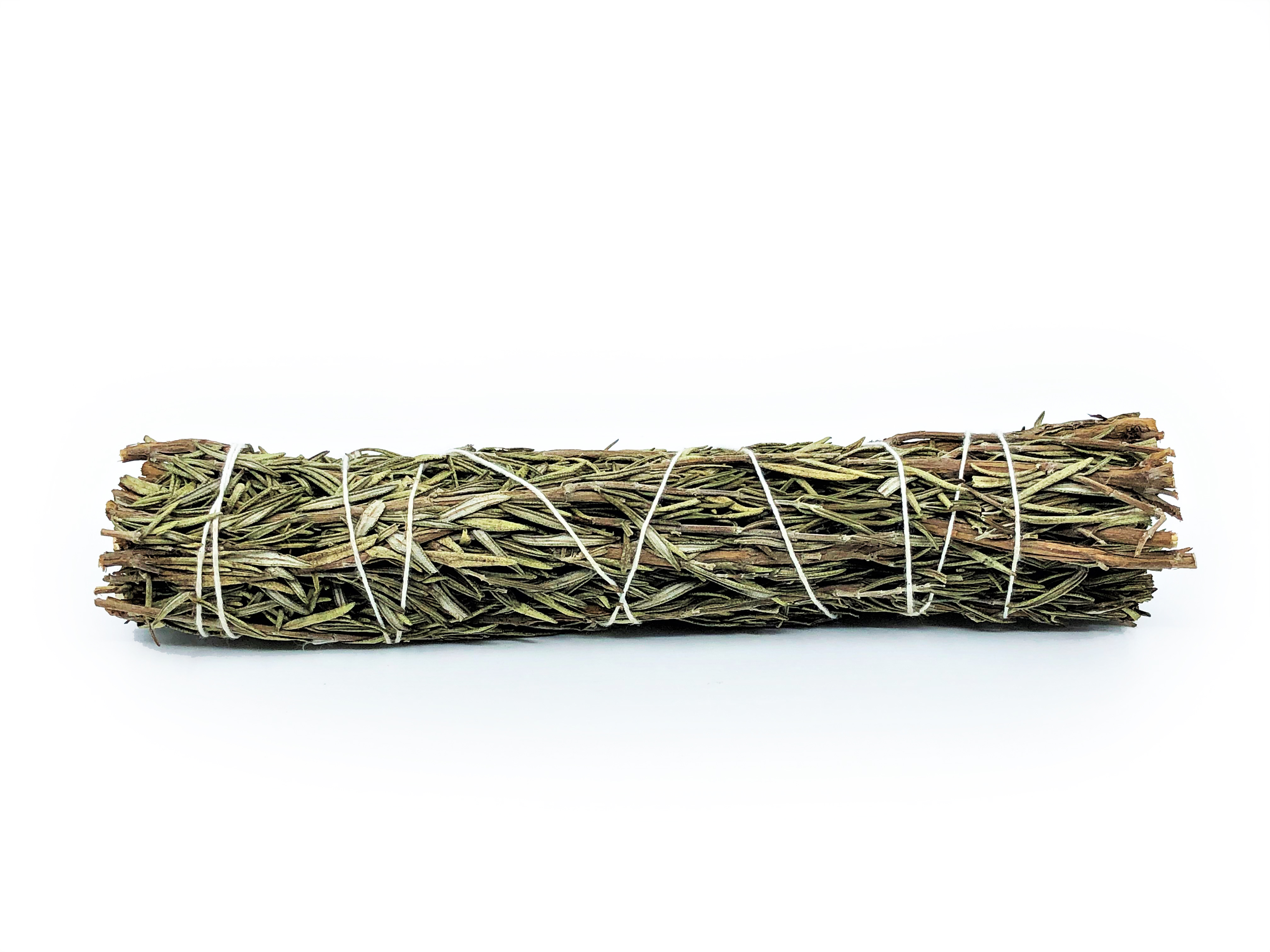 Rosmarin Buntar (Rosmarinus officinalis) - 6