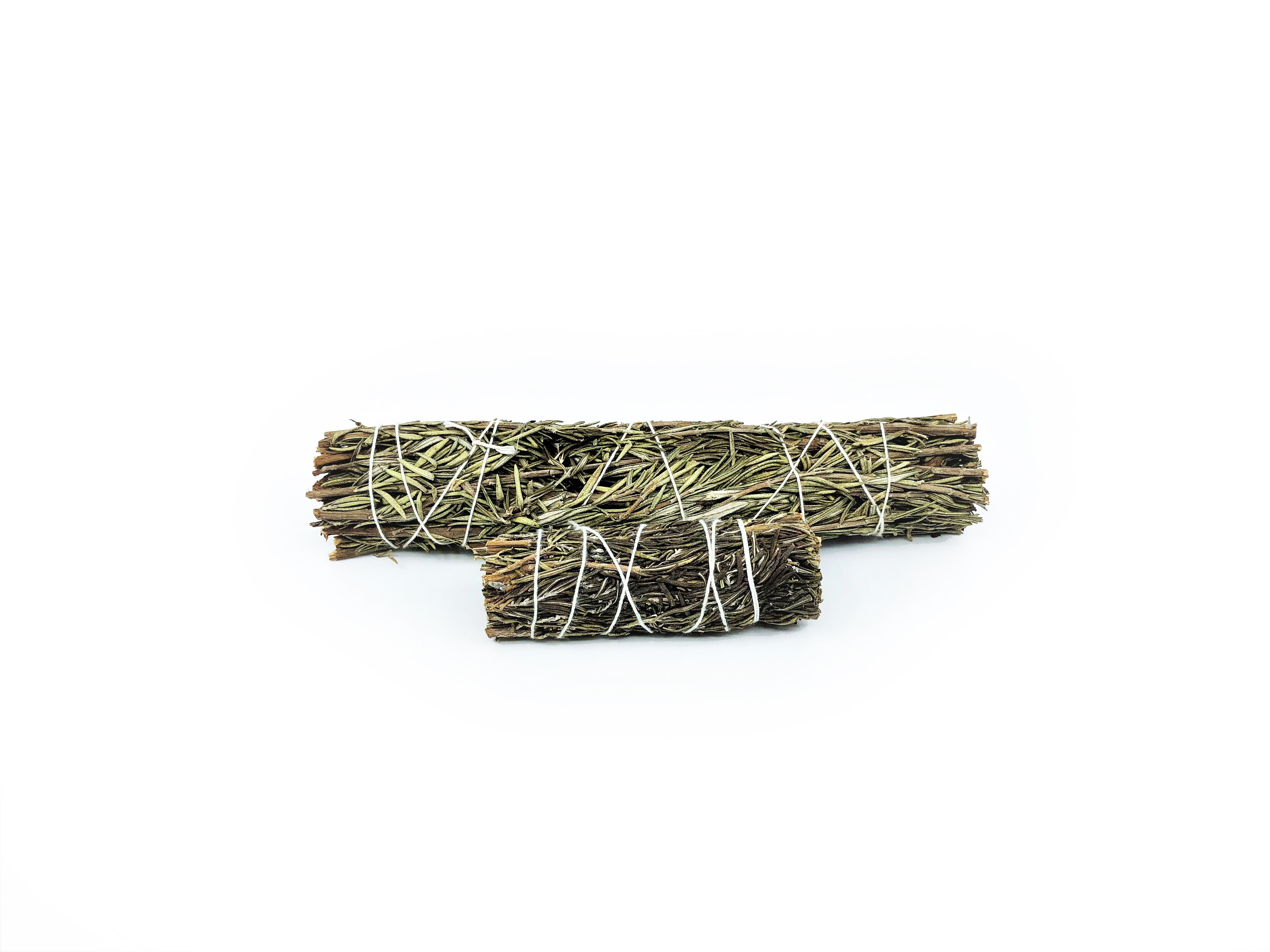 Rosmarin Buntar (Rosmarinus officinalis)