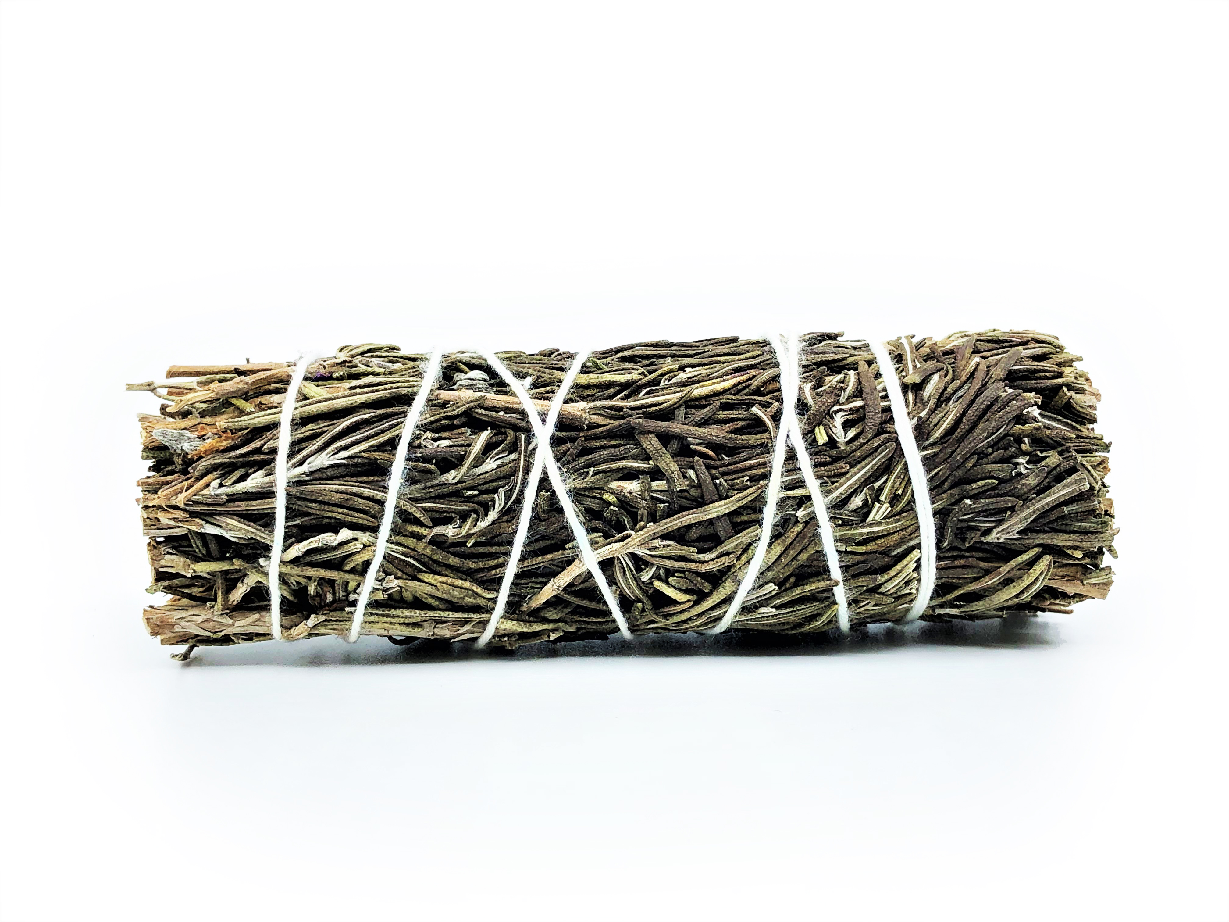Rosmarin Buntar (Rosmarinus officinalis) - 4