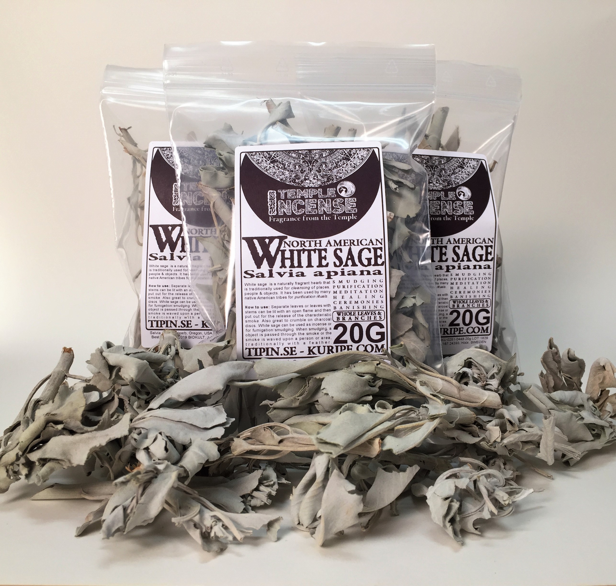 White Sage (Salvia apiana) - 3