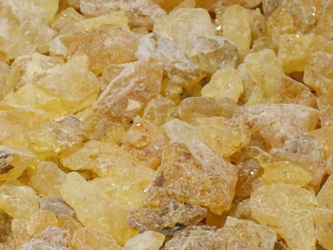 Indonesian Copal (Dacryodes peruviana) - 4
