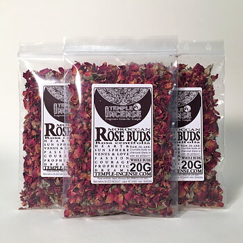 Rose Buds (Rosa centifolia)