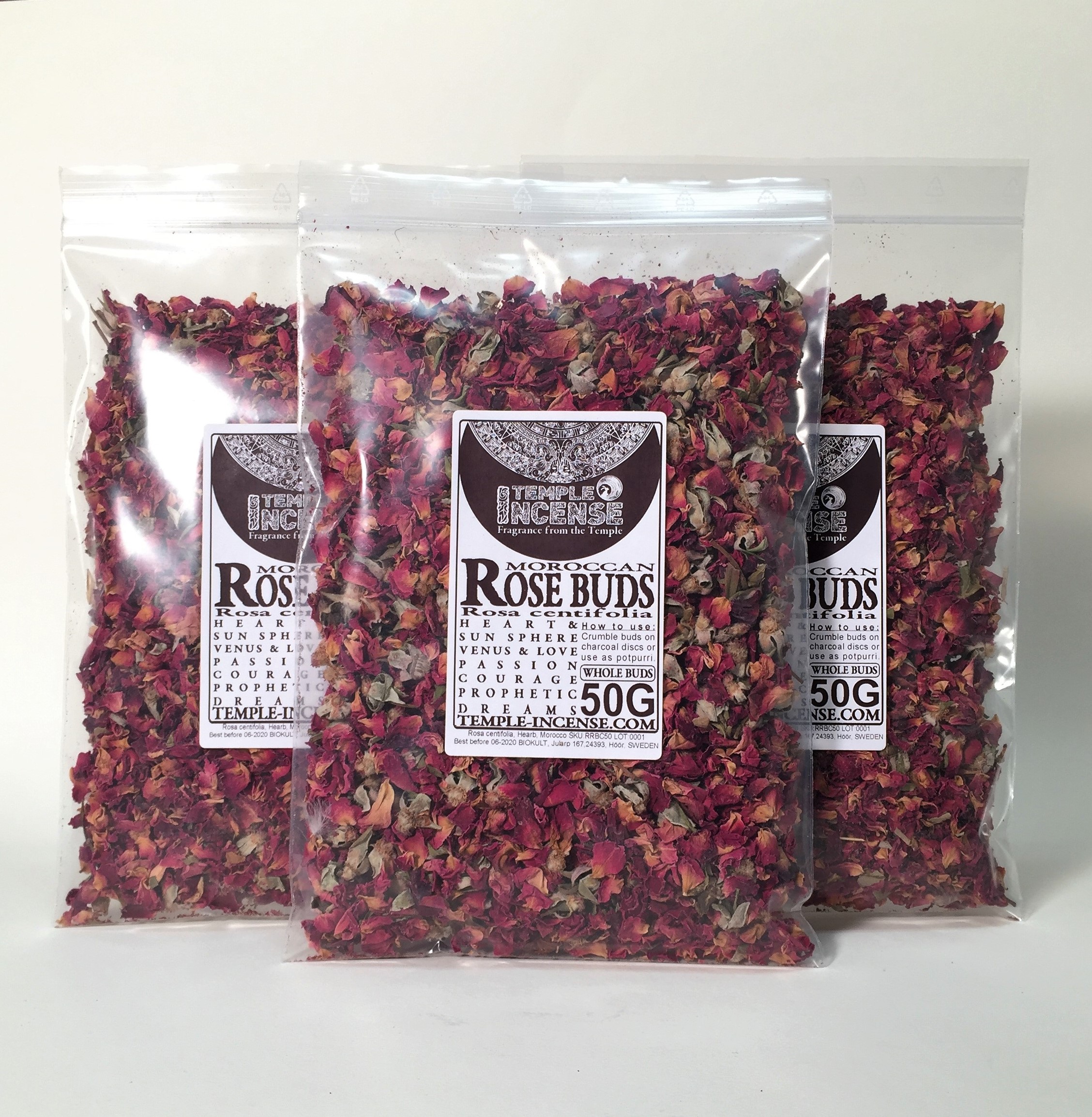 Rosknoppar (Rosa centifolia) - 3