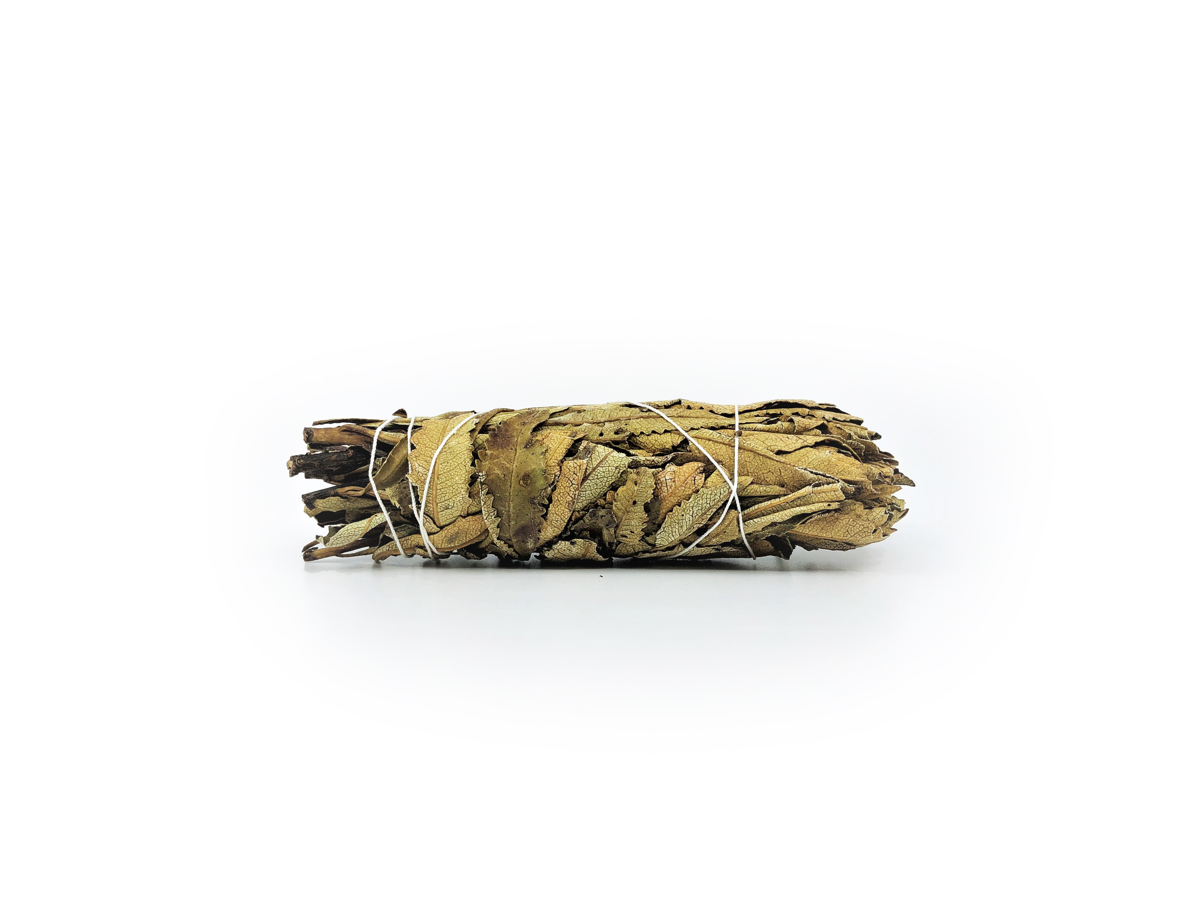 Yerba Santa Bundles (Eriodictyon californicum) - 6