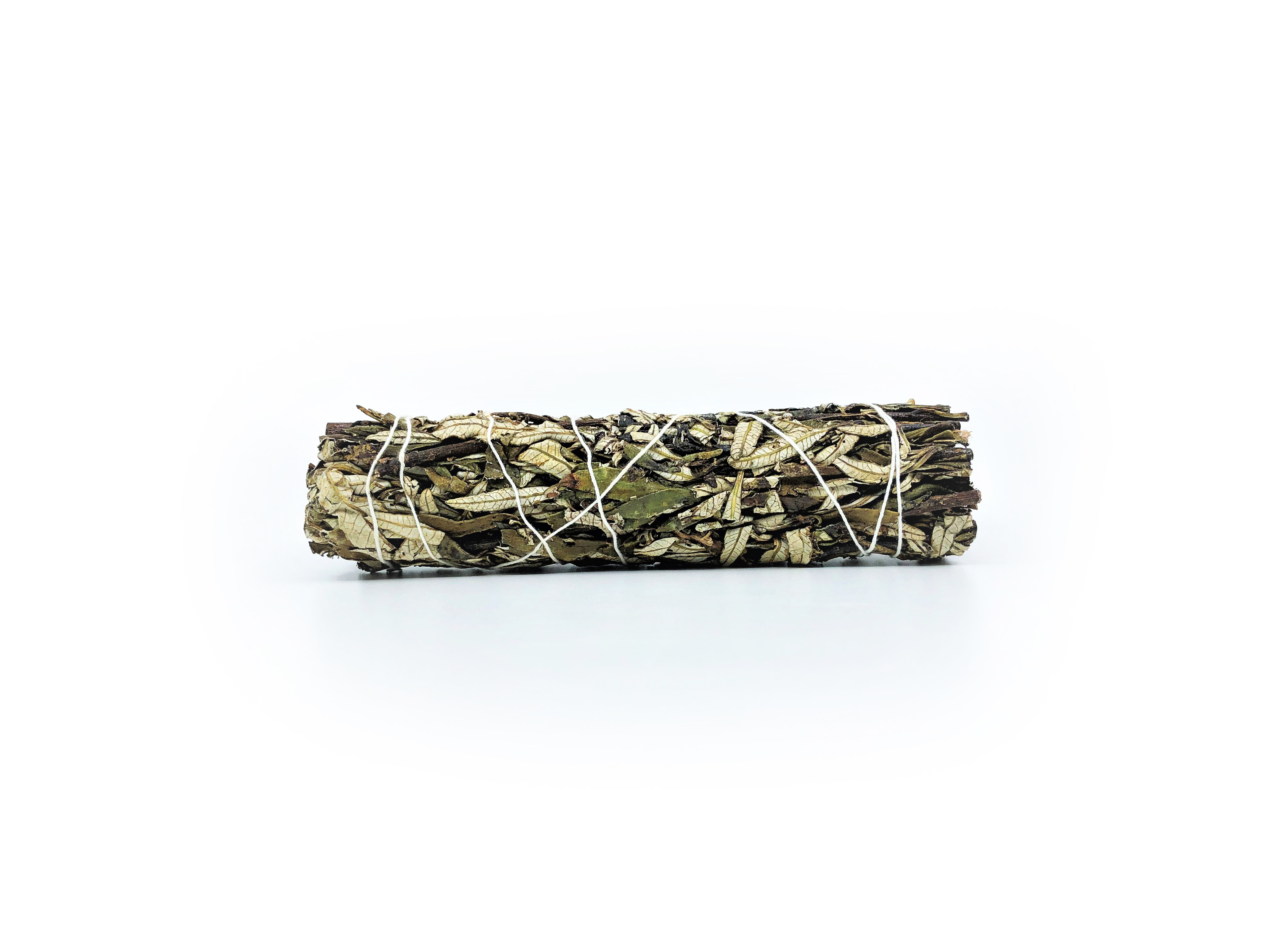 Yerba Santa Bundles (Eriodictyon californicum) - 4