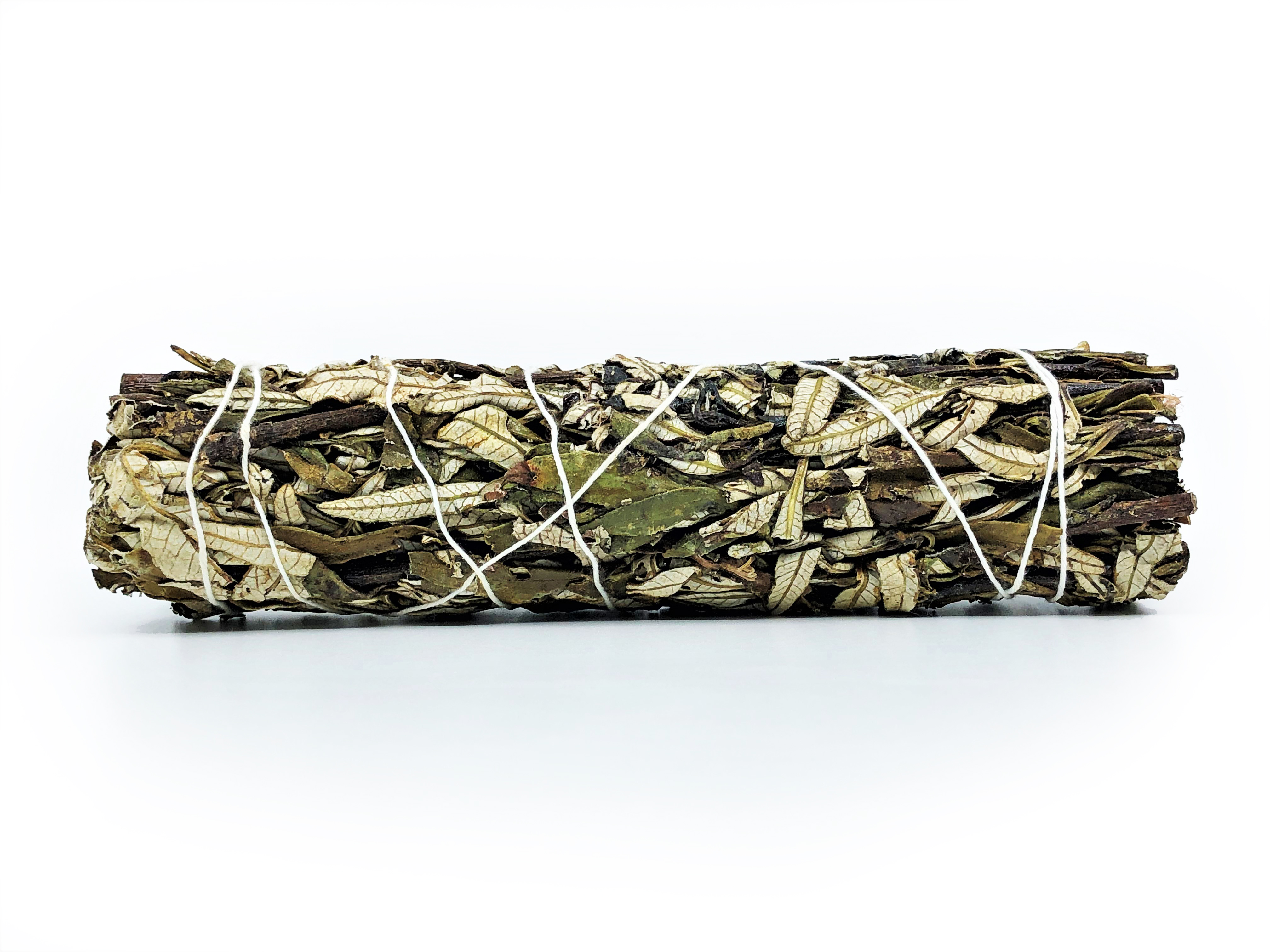 Yerba Santa Bundles (Eriodictyon californicum) - 3