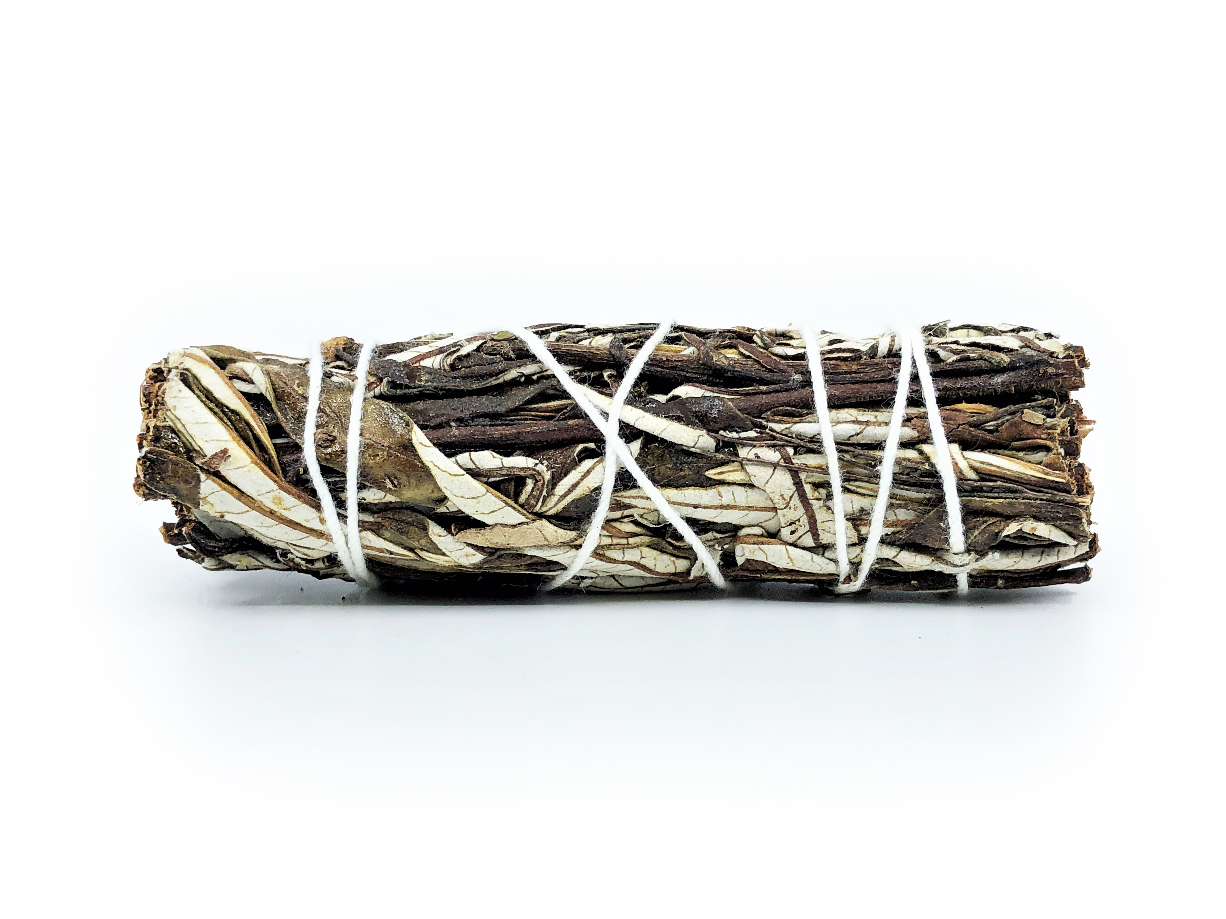 Yerba Santa Bundles (Eriodictyon californicum) - 7