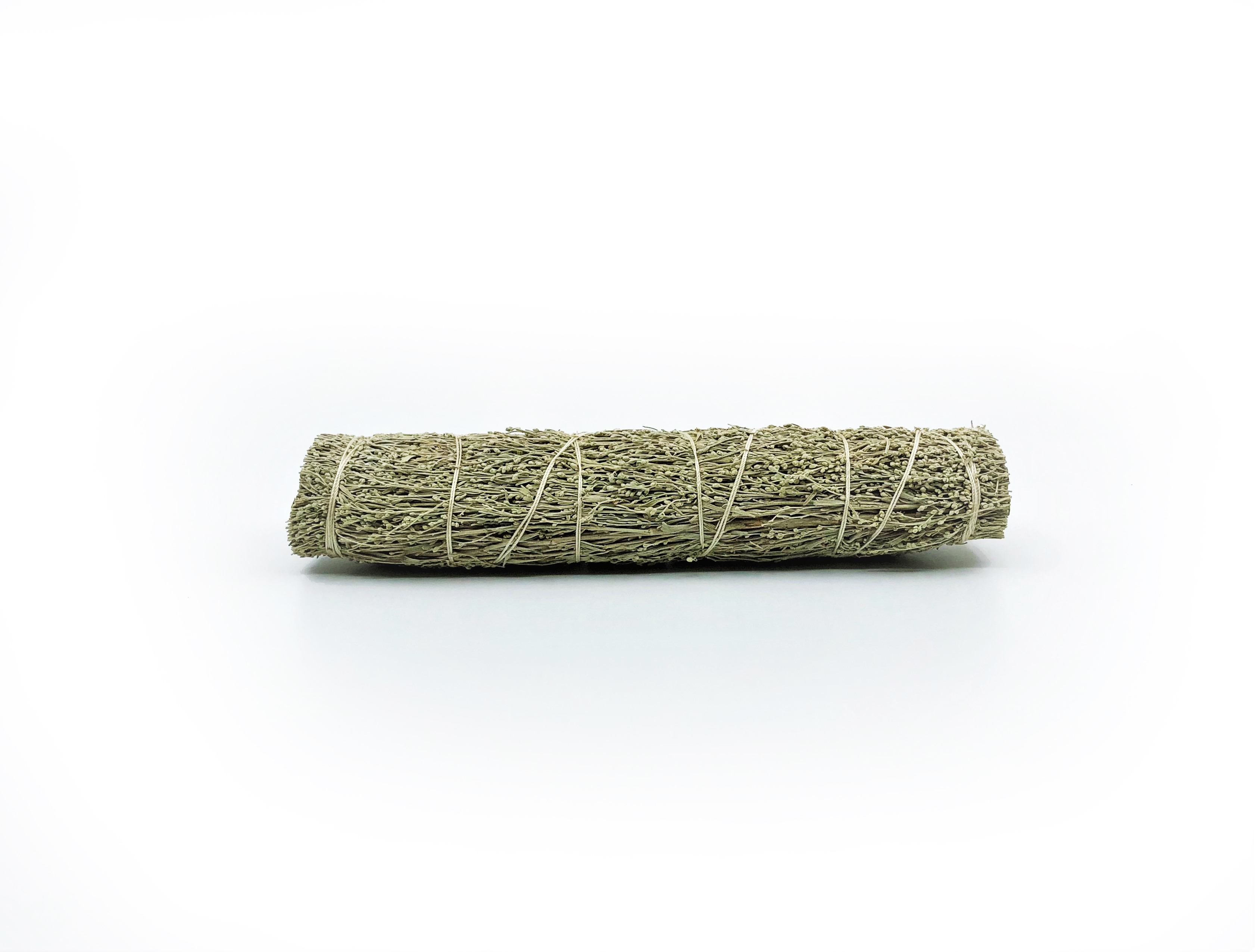 Blue Sage Buntar (Salvia clevelandii)