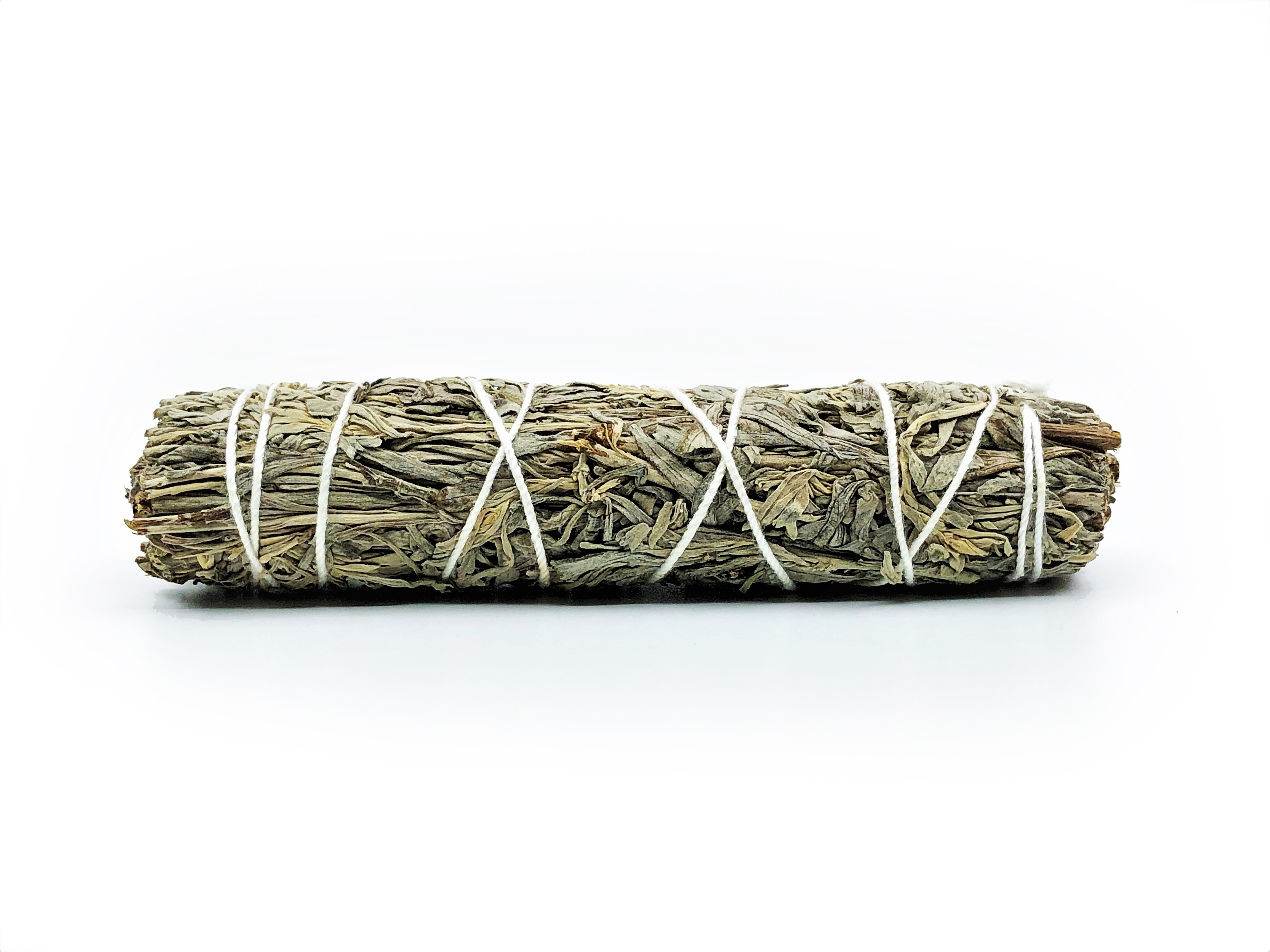 Blue Sage Bundles (Salvia clevelandii) - 3