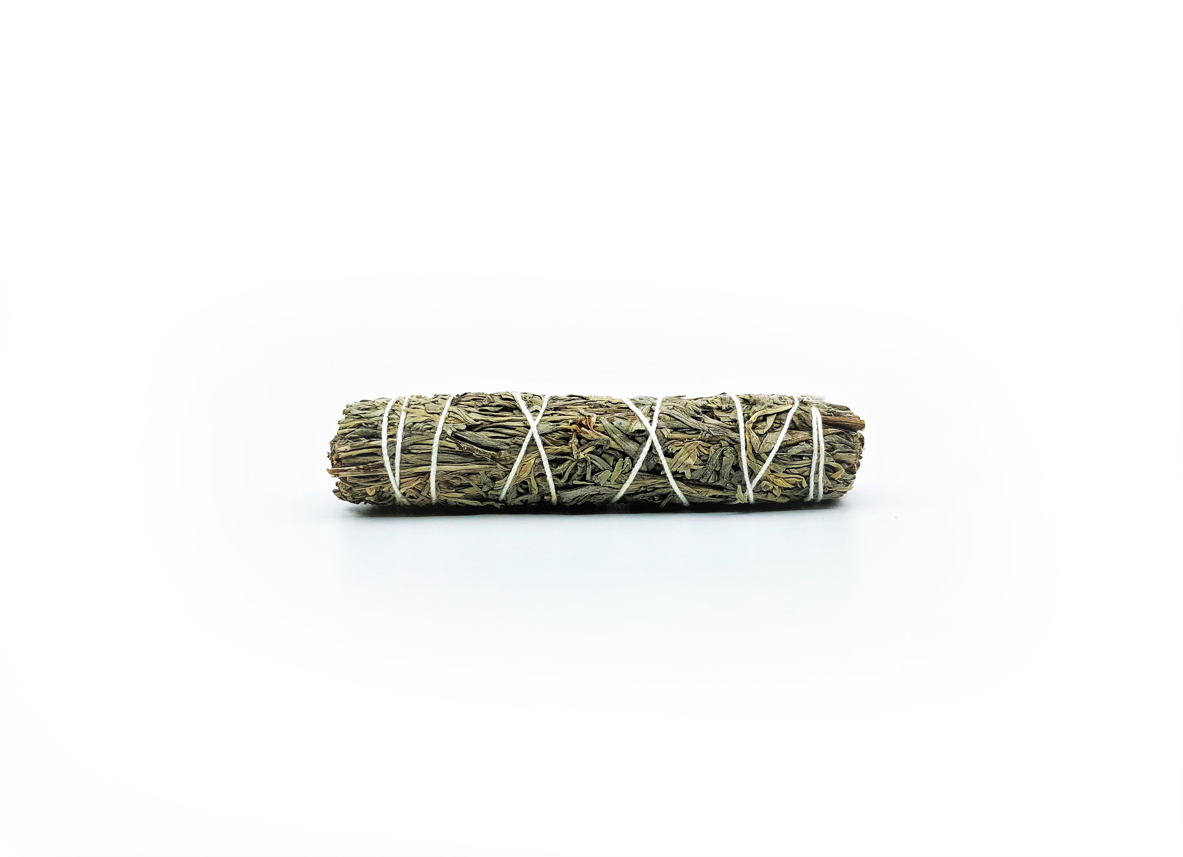 Blue Sage Buntar (Salvia clevelandii)