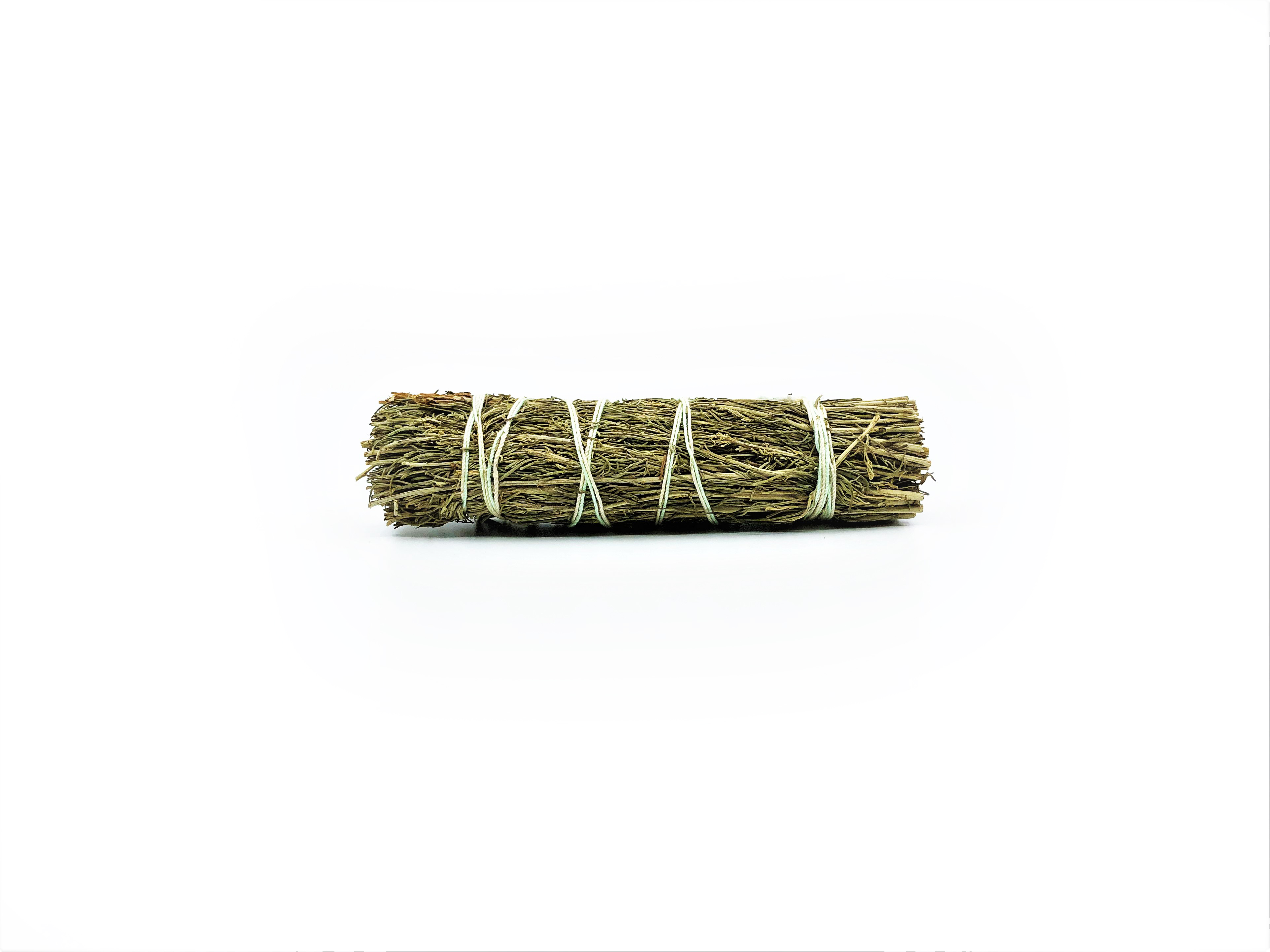 Desert Sage Buntar (Artemisia tridentata)