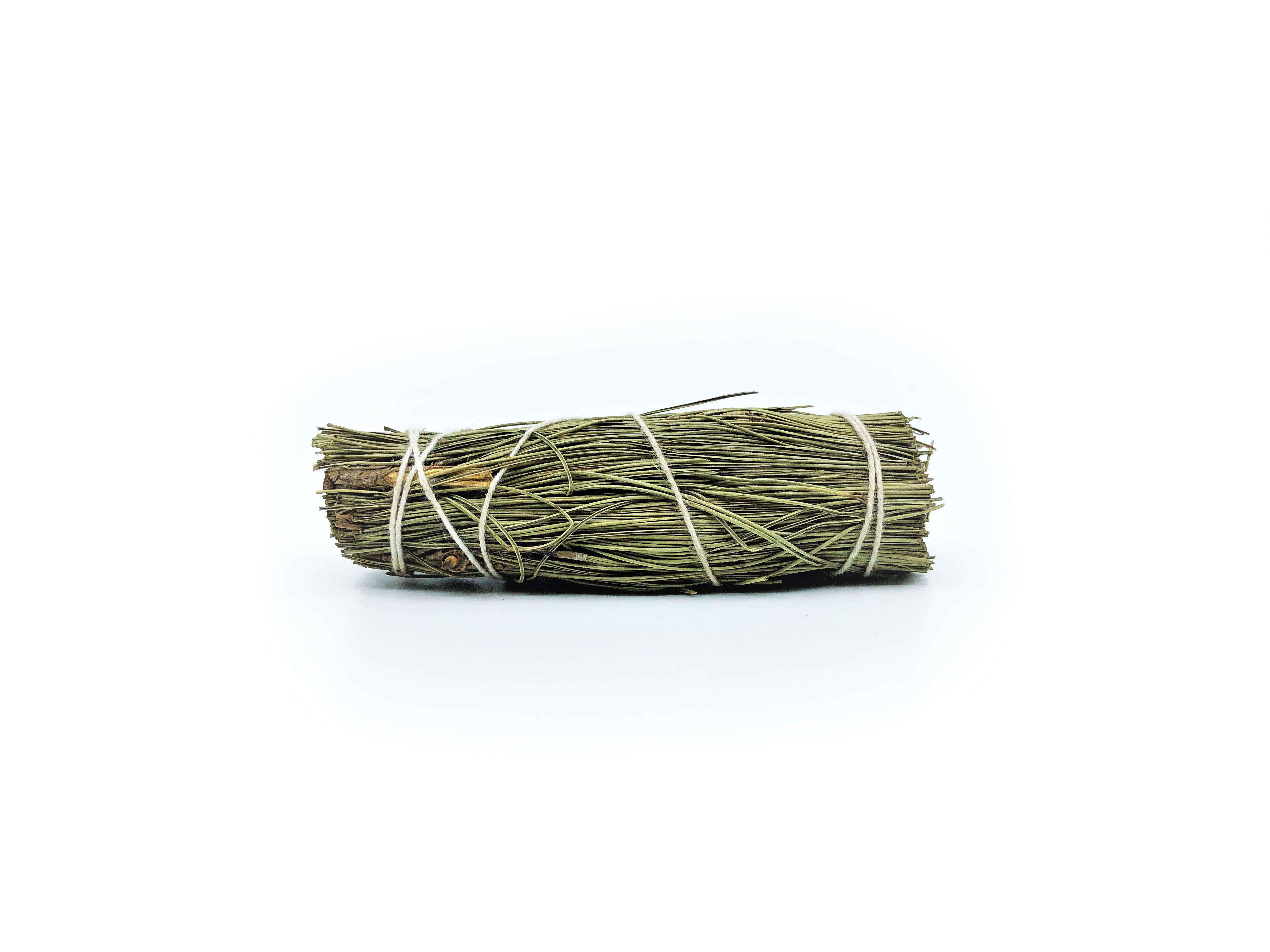 Piñon Pine Bundles (Pinus edulis) - 6