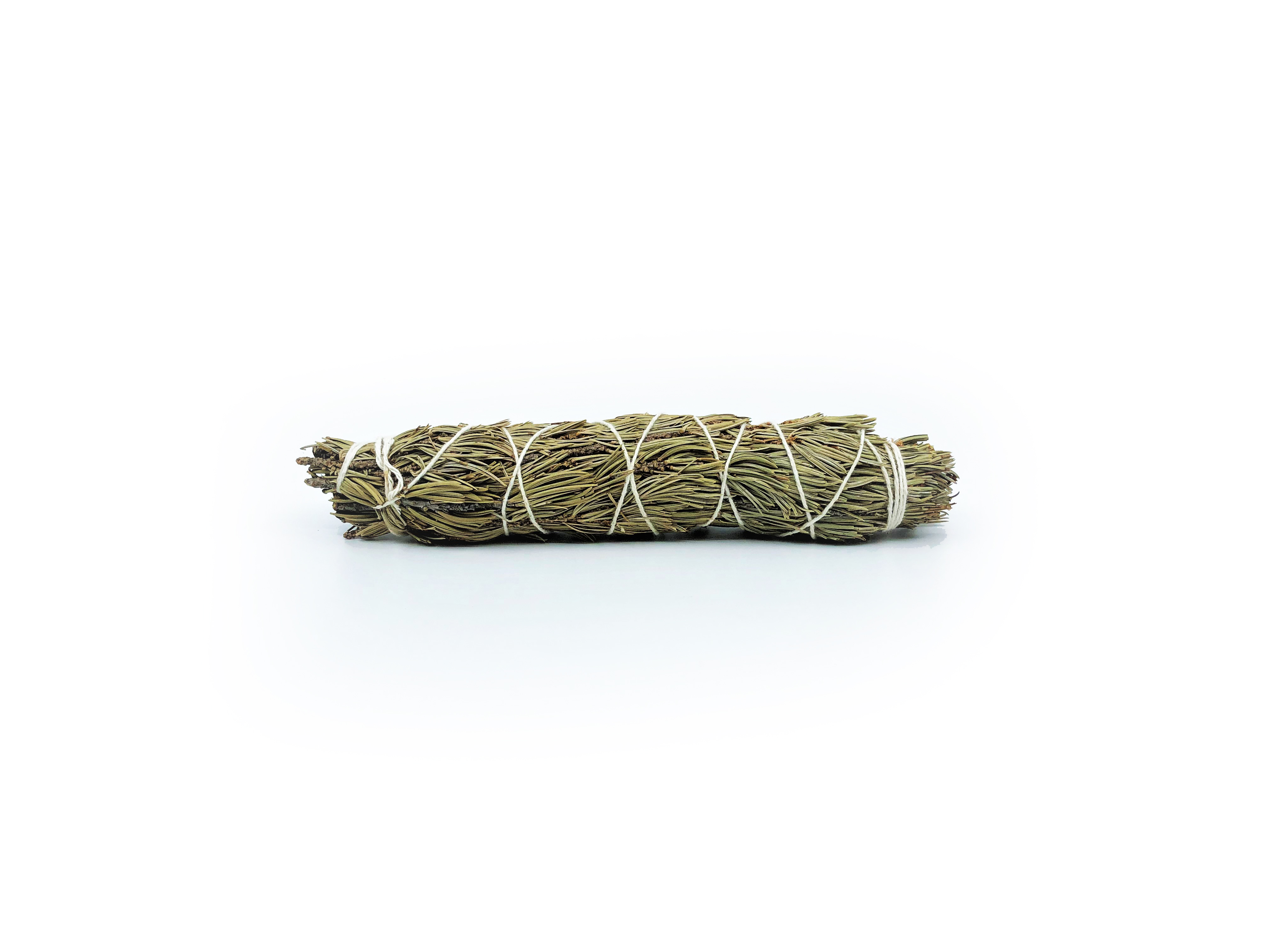 Piñon Pine Bundles (Pinus edulis) - 4