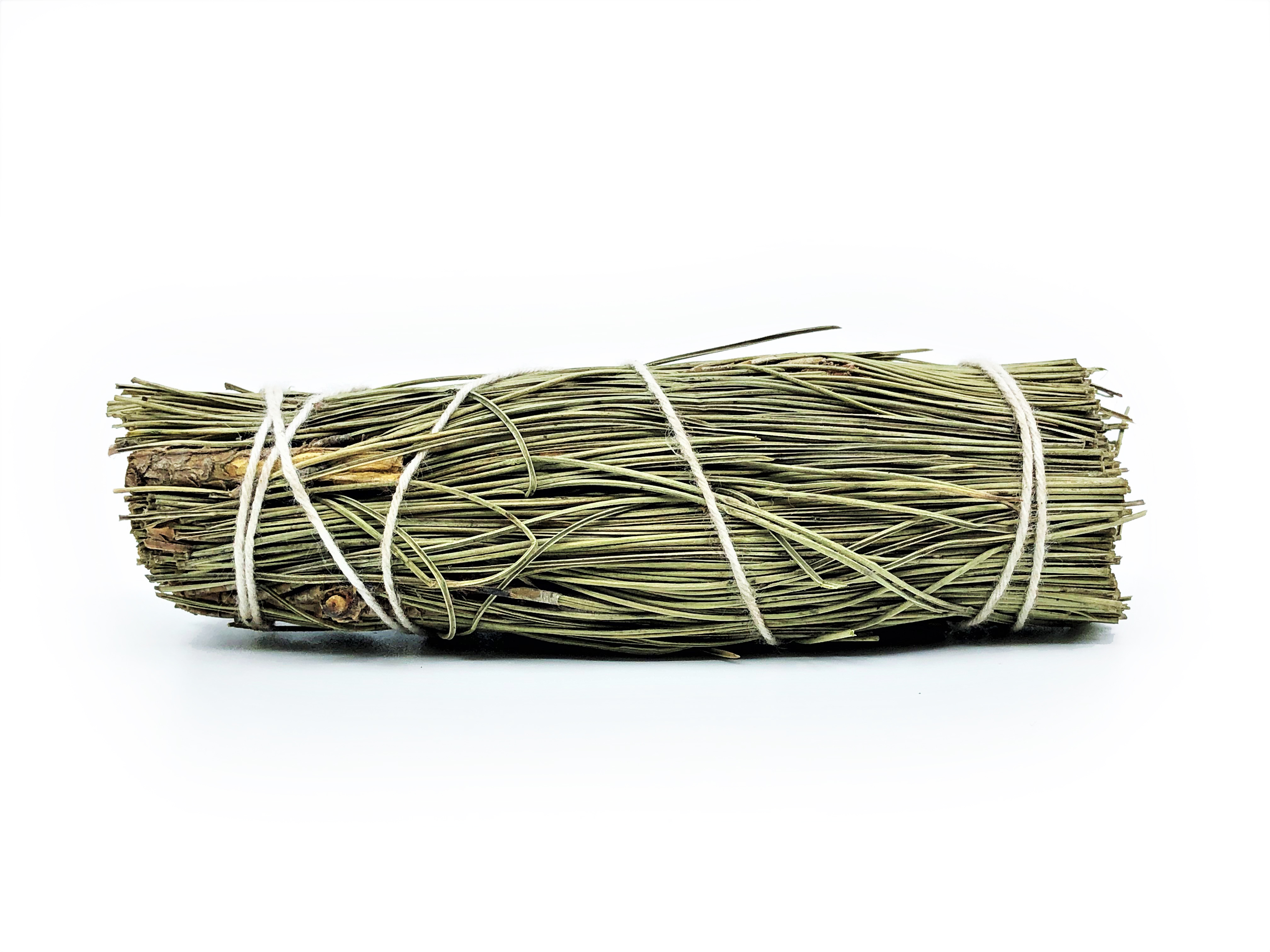 Piñon Pine Bundles (Pinus edulis) - 5