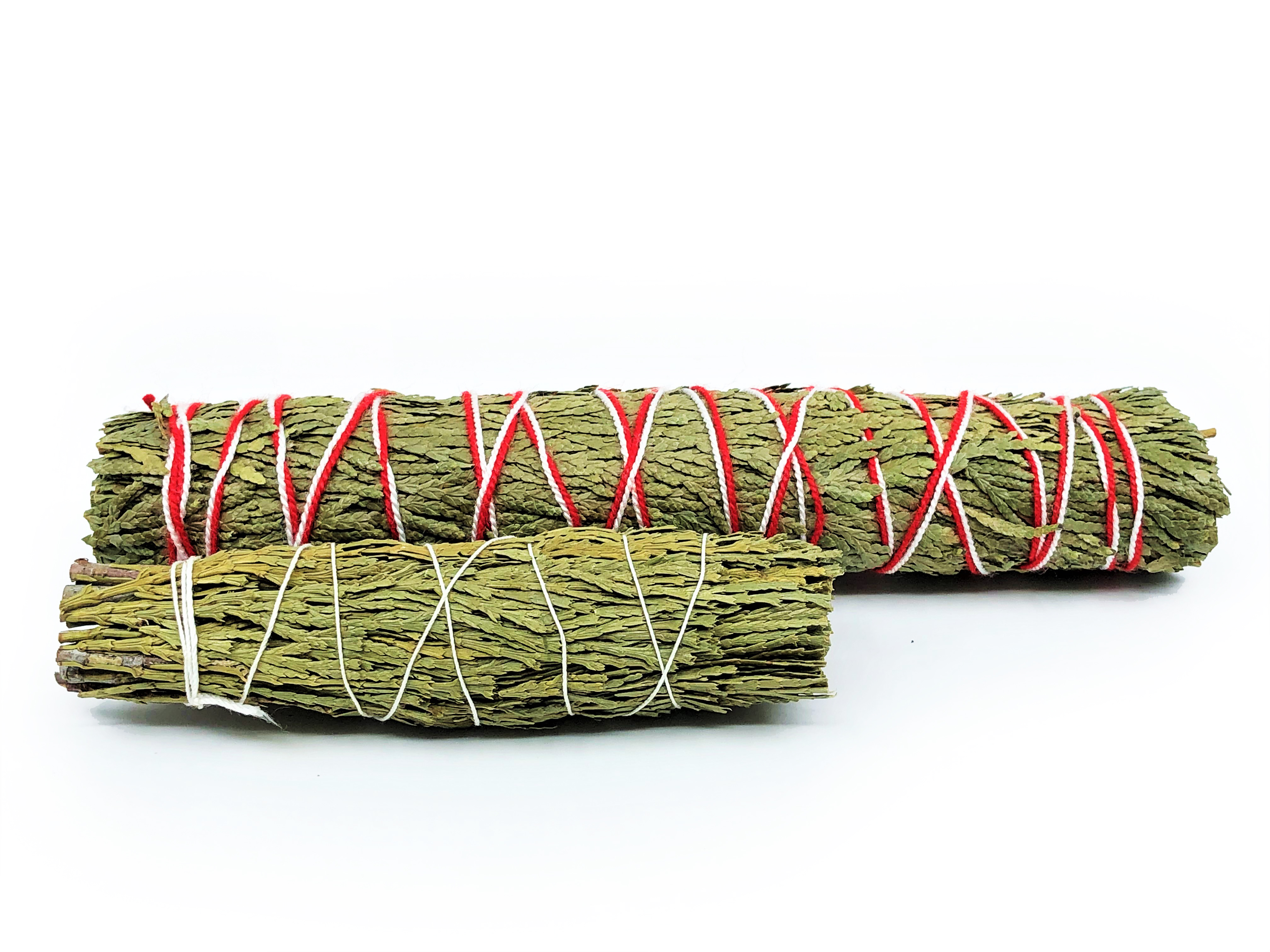 Incense Cedar Buntar (Calocedrus decurrens)