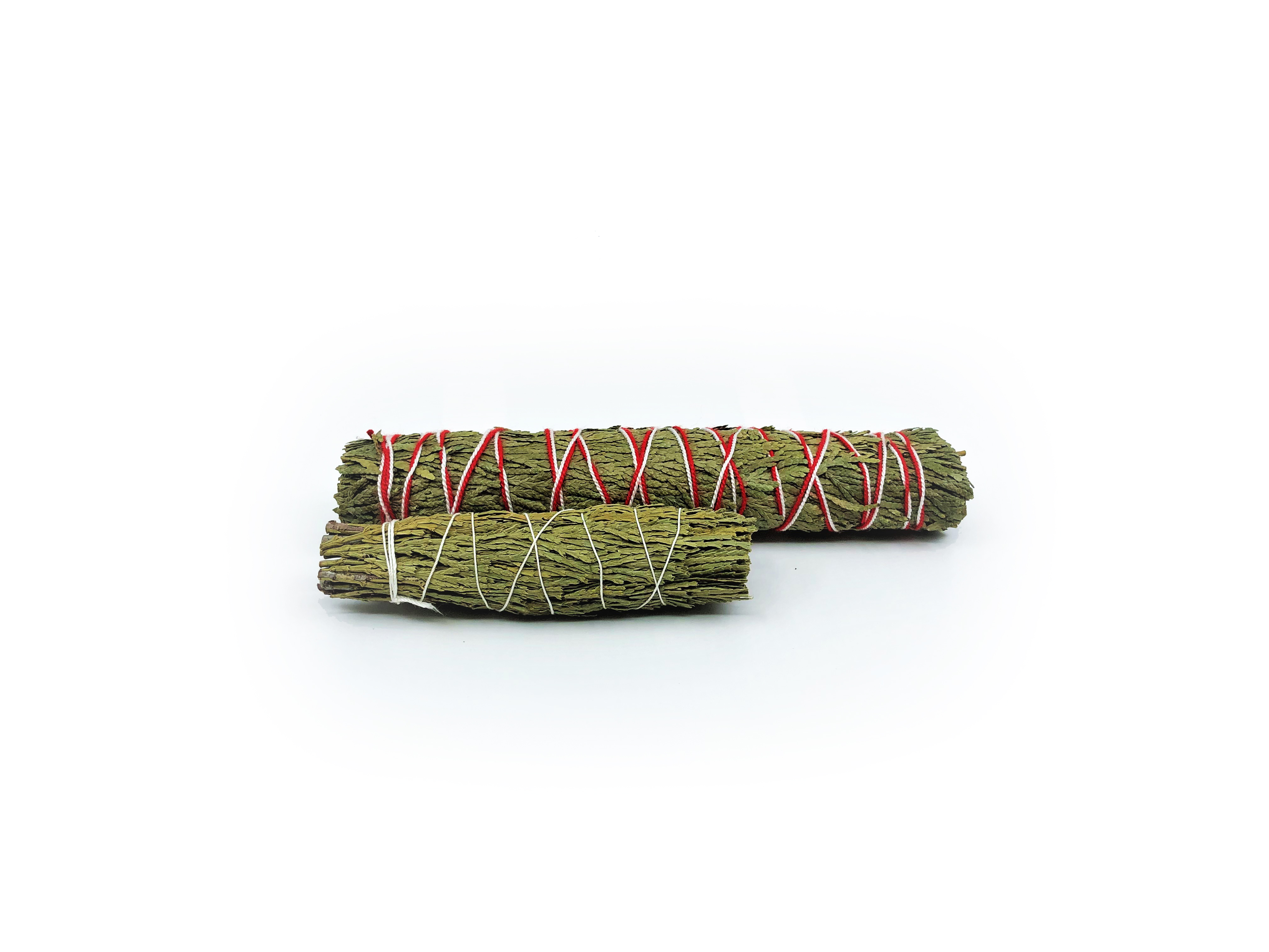 Incense Cedar Buntar (Calocedrus decurrens)
