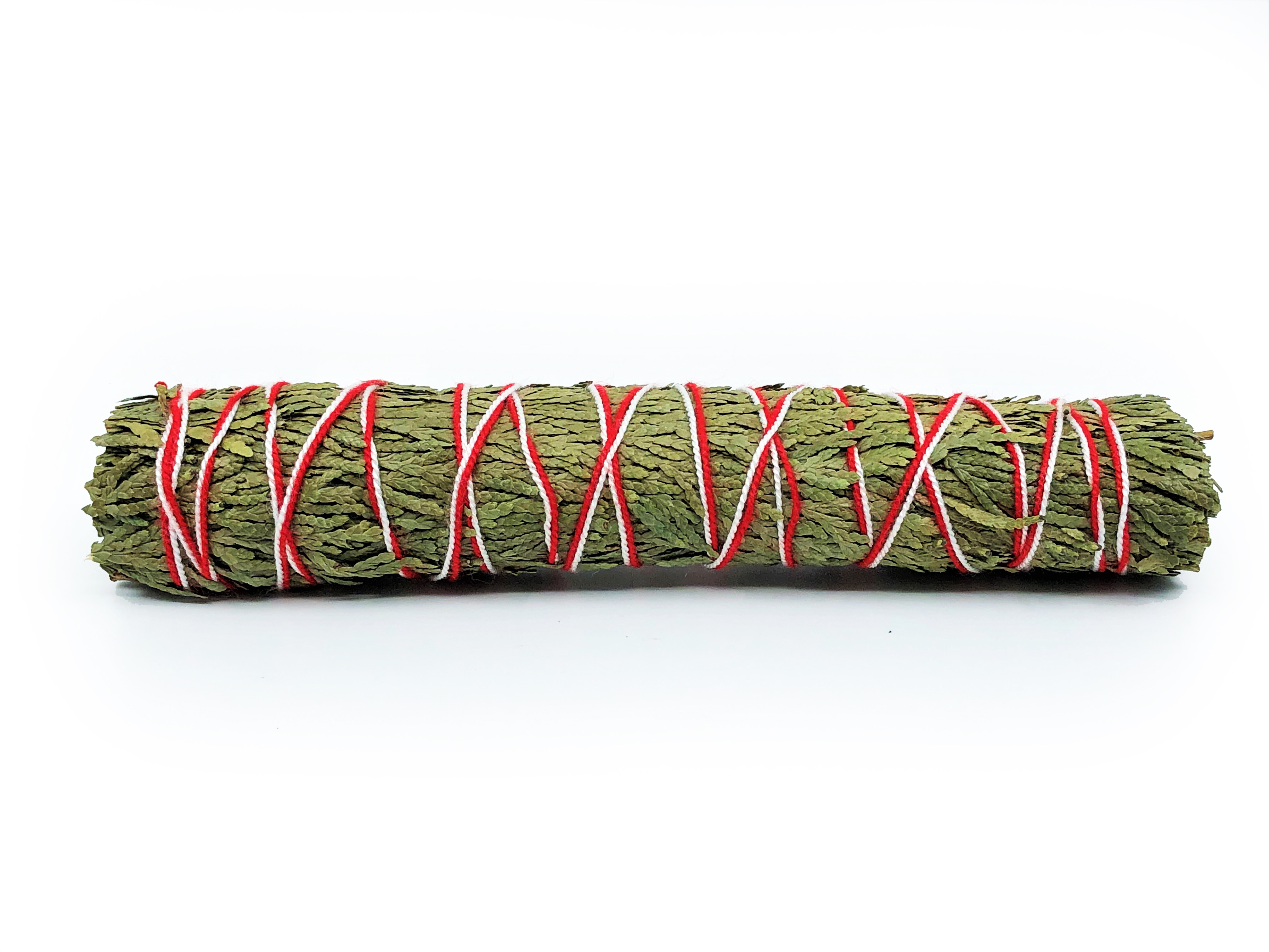 Incense Cedar Buntar (Calocedrus decurrens) - 5