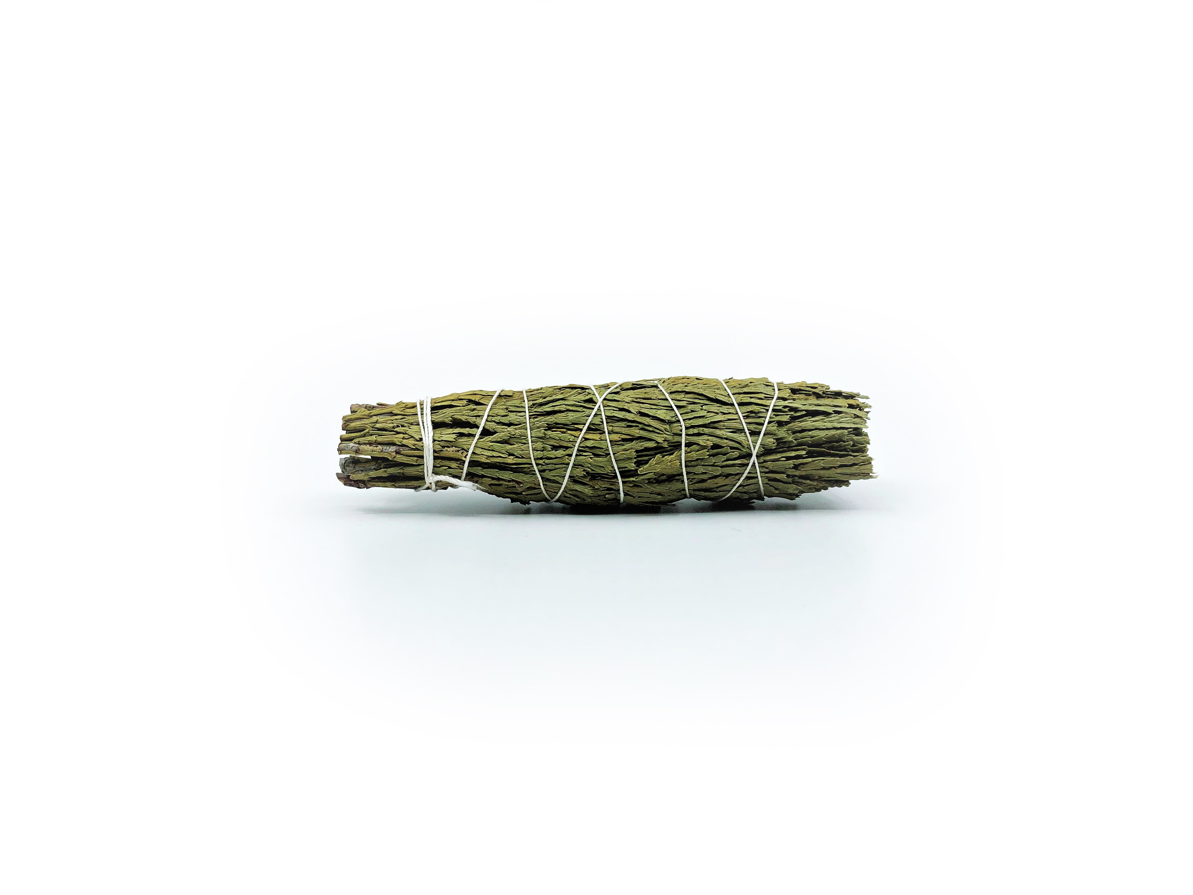 Incense Cedar Buntar (Calocedrus decurrens) - 4