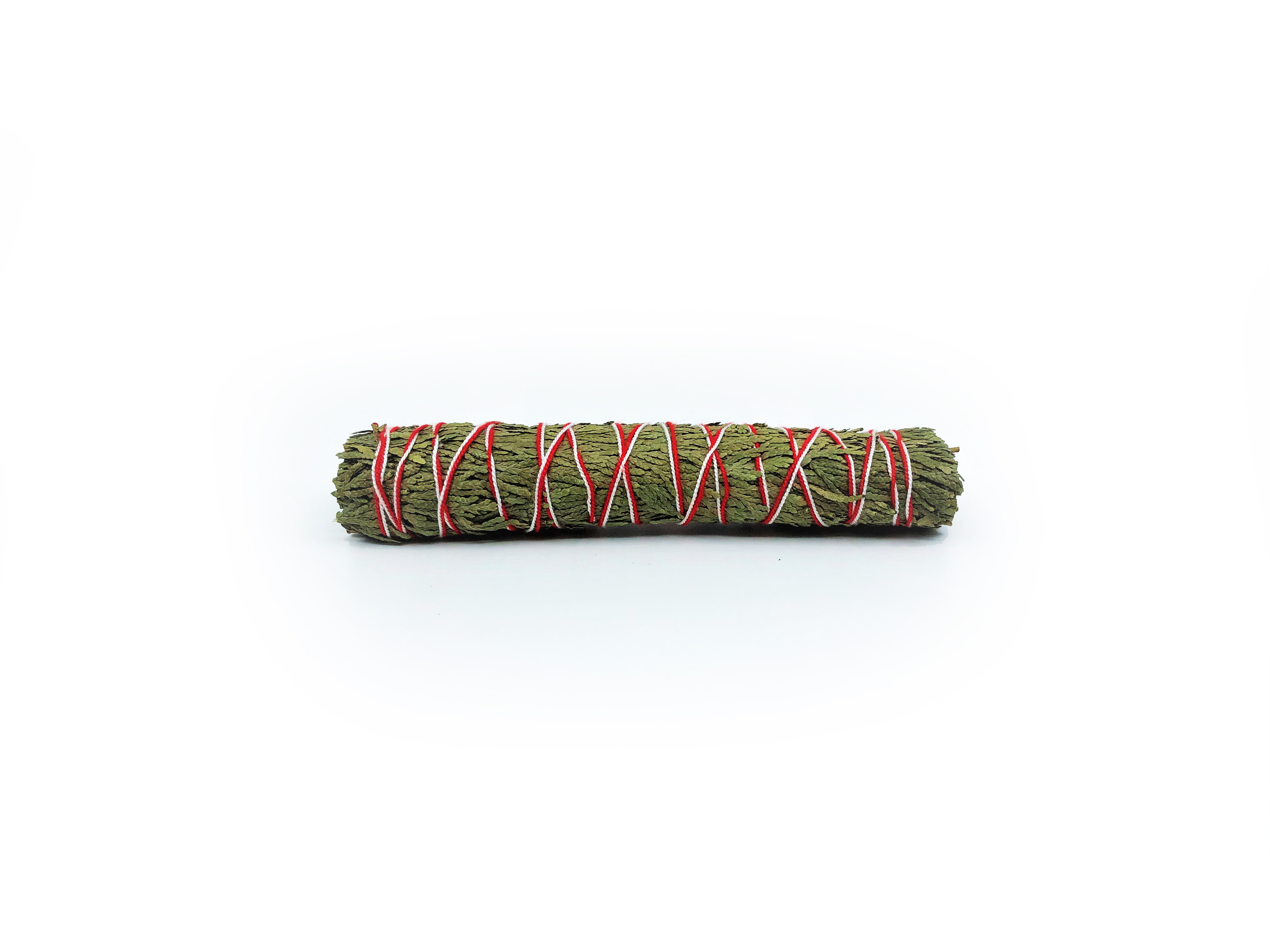 Incense Cedar Buntar (Calocedrus decurrens) - 6