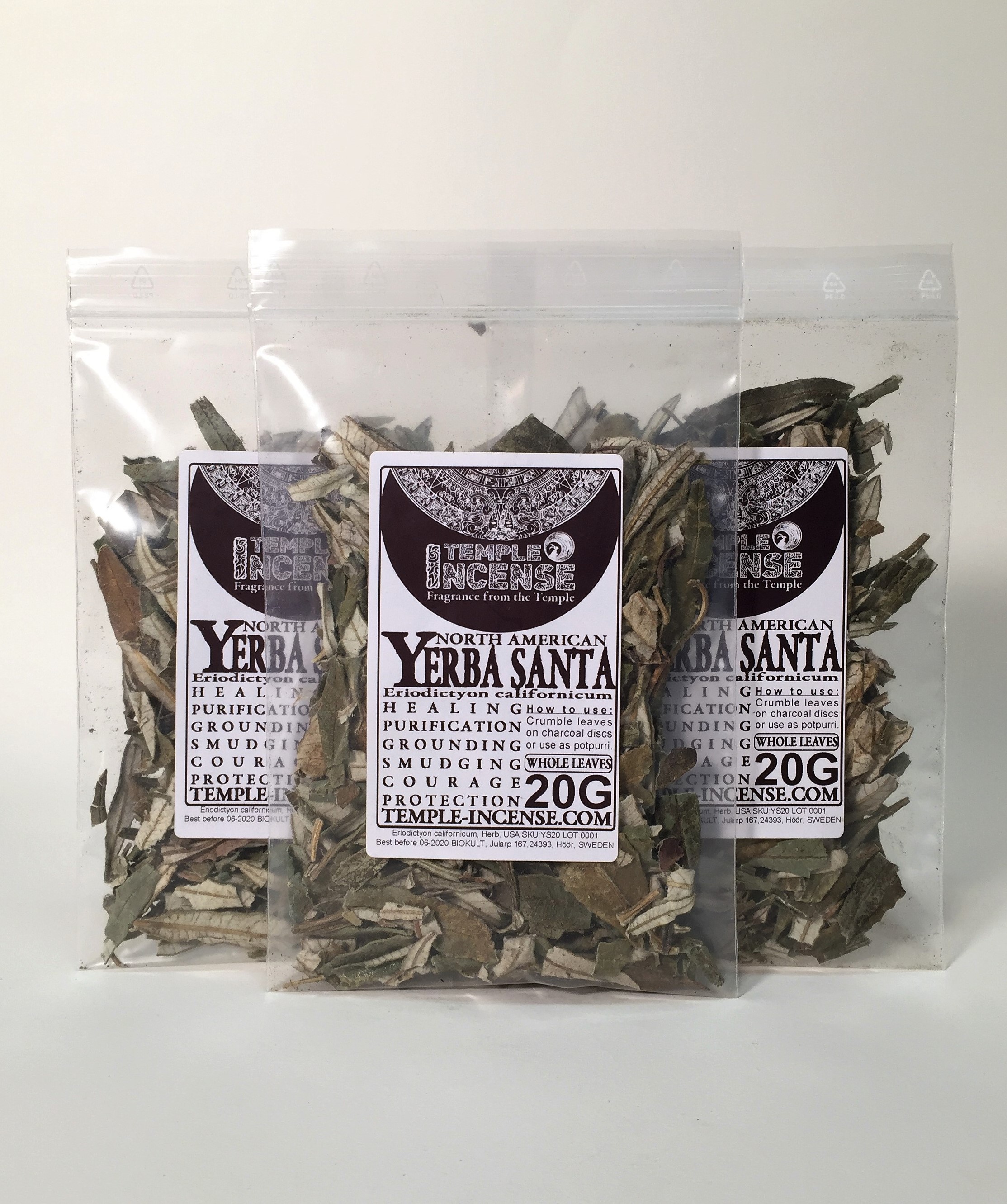 Yerba Santa (Eriodictyon californicum)