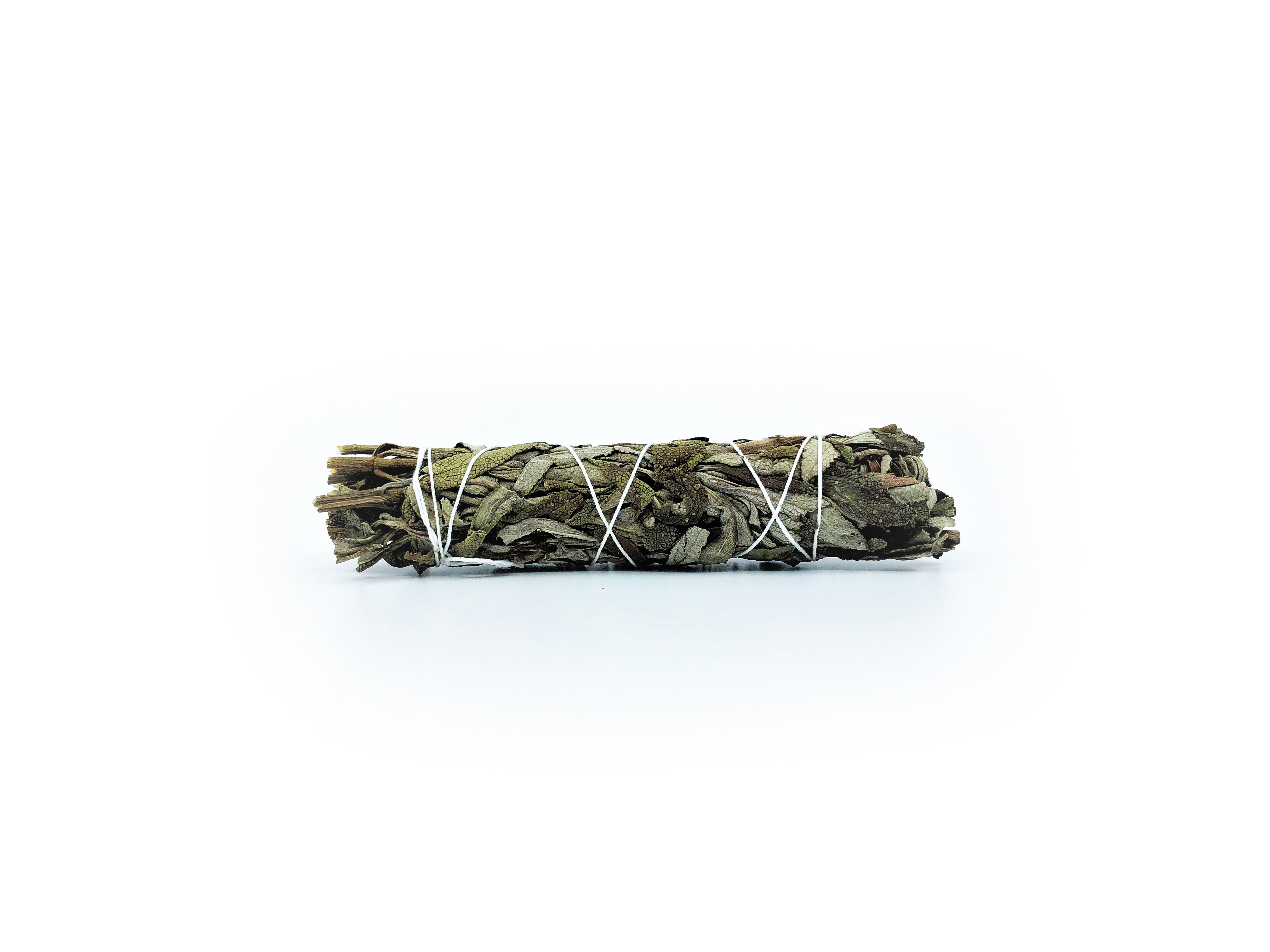 Lavender Sage Bundles (Salvia leucophylla) - 5