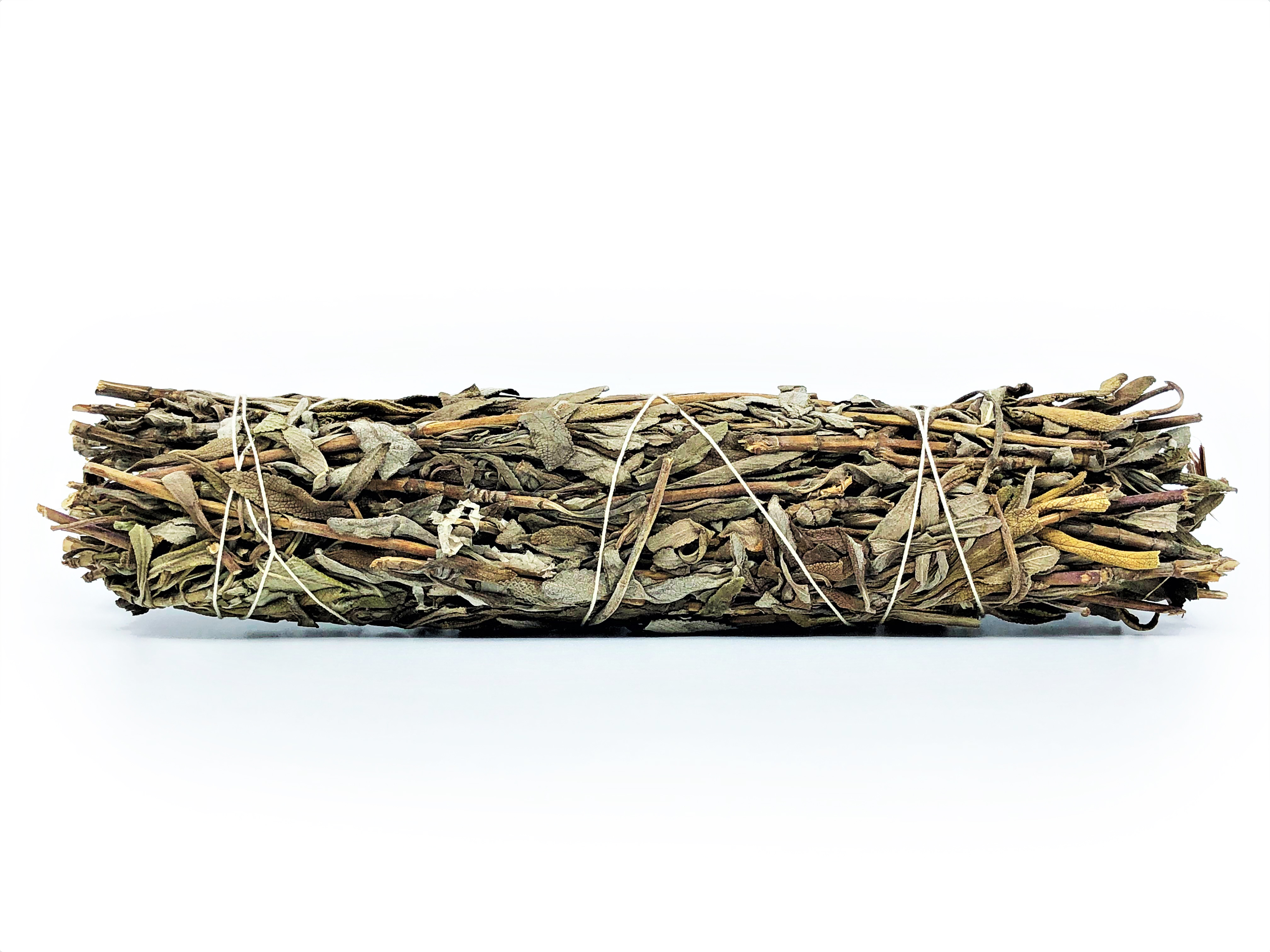 Lavender Sage Bundles (Salvia leucophylla) - 6