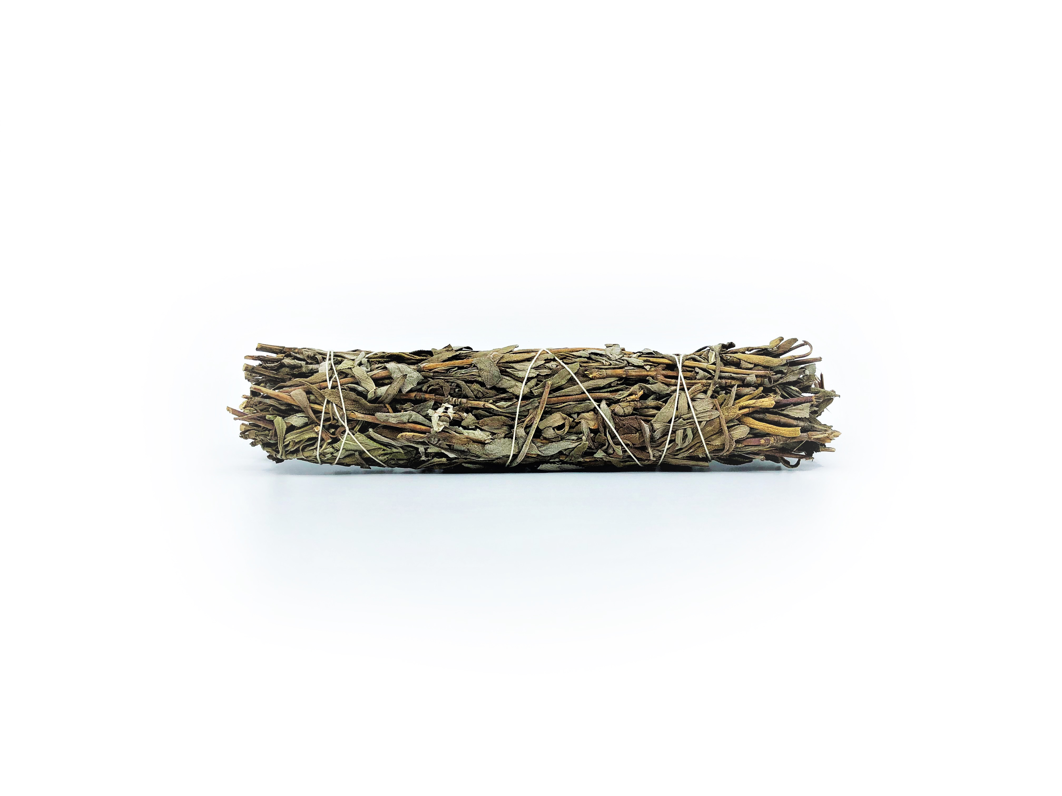 Lavender Sage Bundles (Salvia leucophylla) - 3