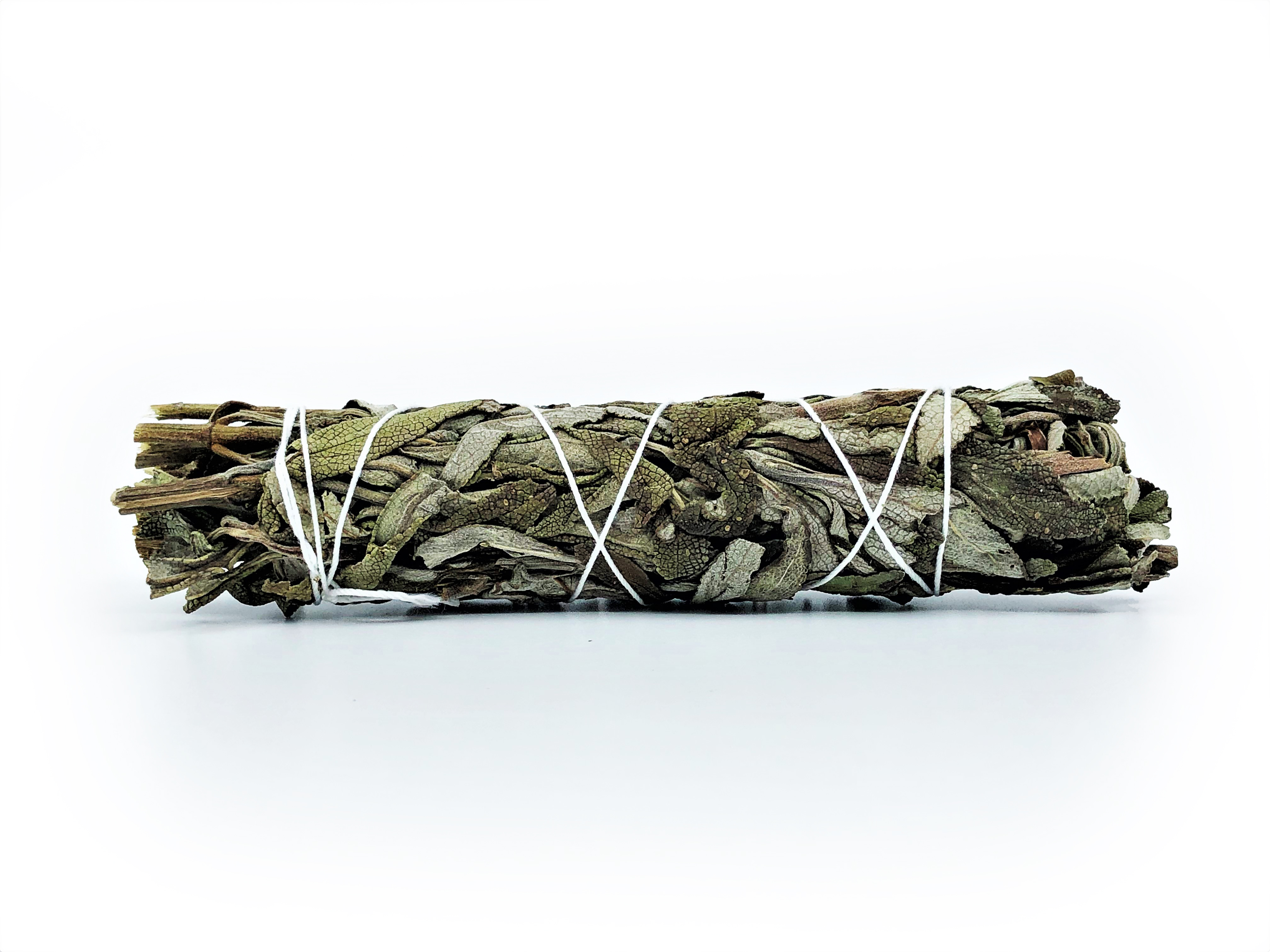 Lavender Sage Bundles (Salvia leucophylla) - 4