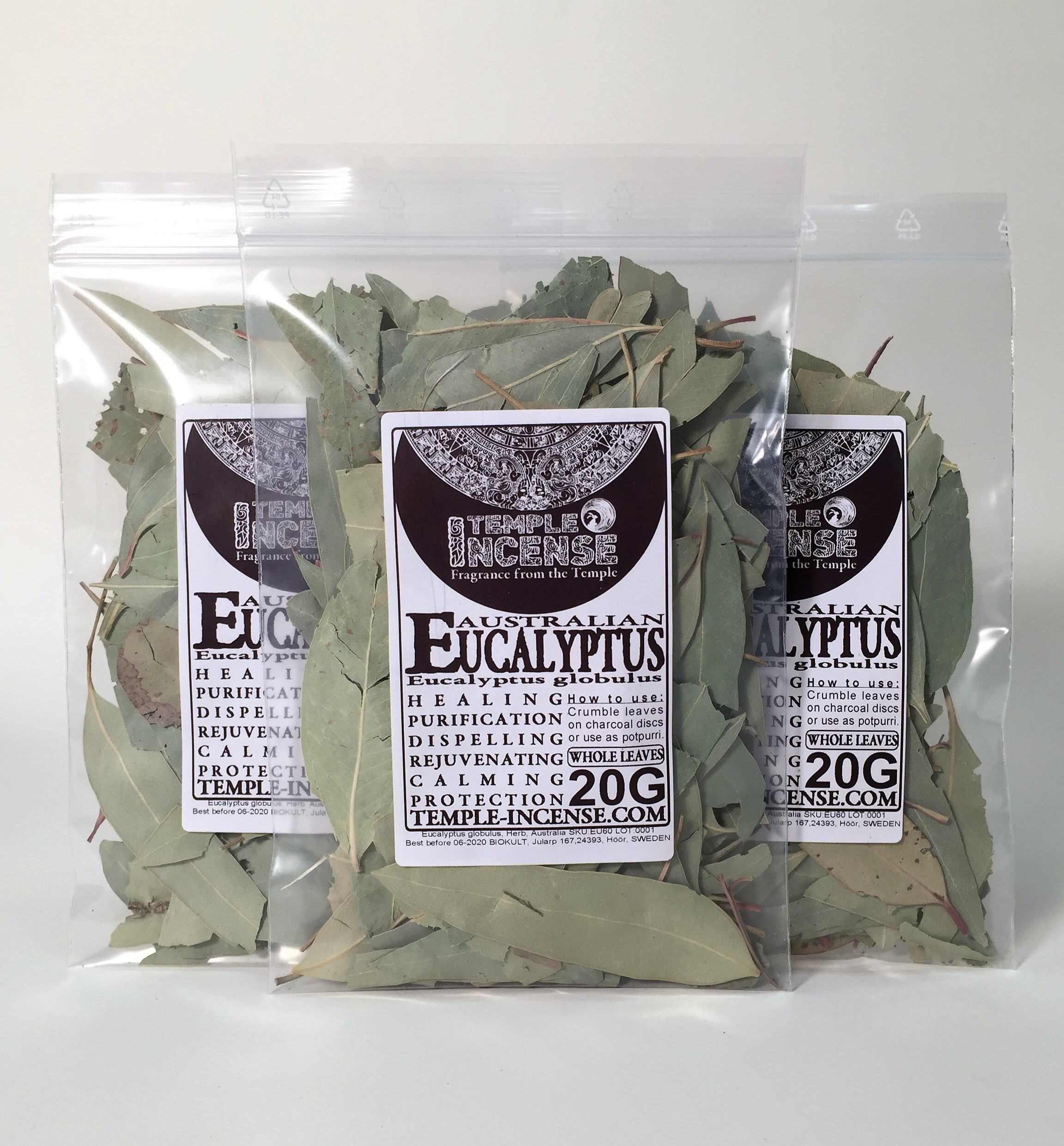 Eukalyptus (Eucalyptus globulus)