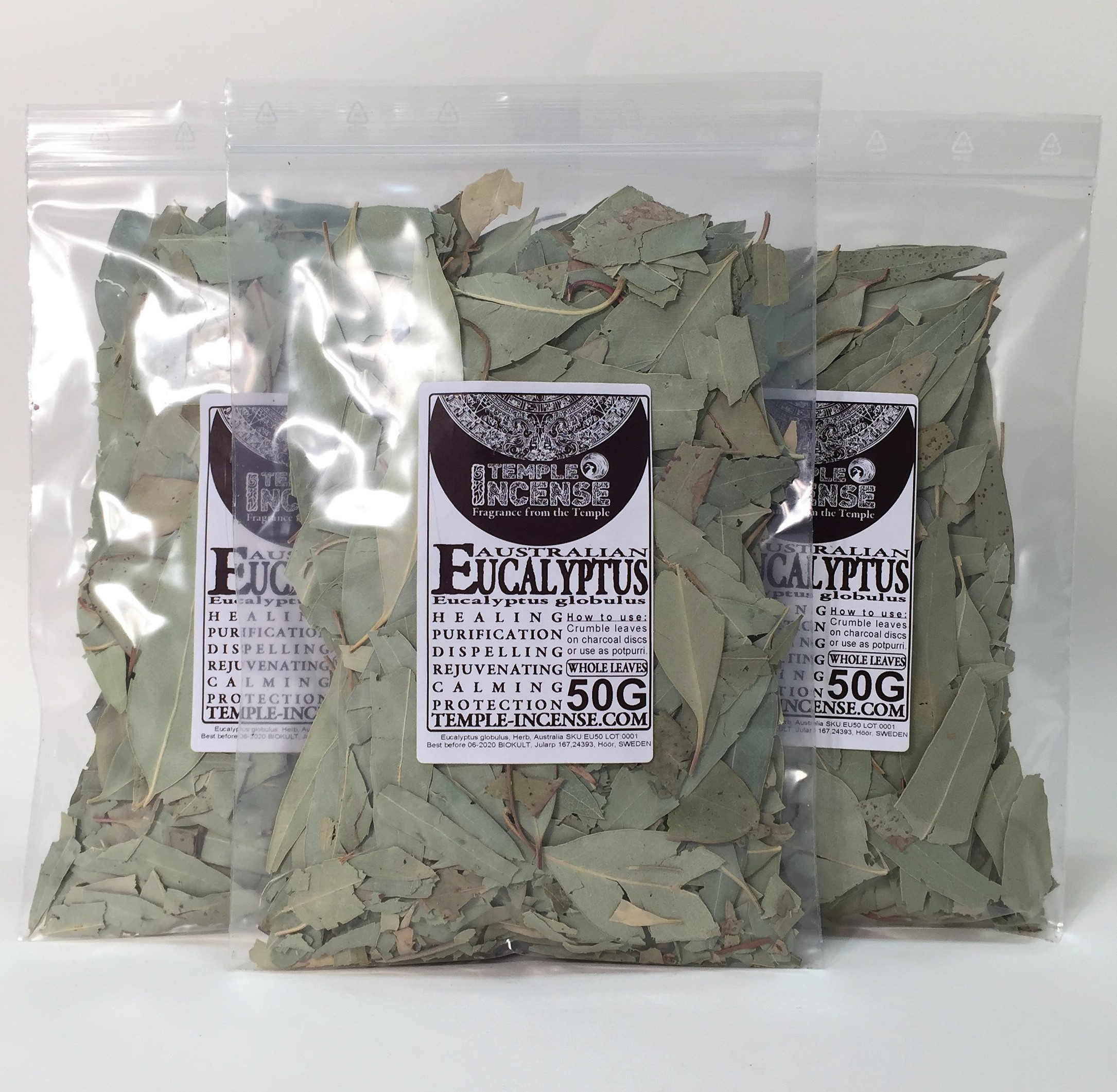 Eukalyptus (Eucalyptus globulus) - 3