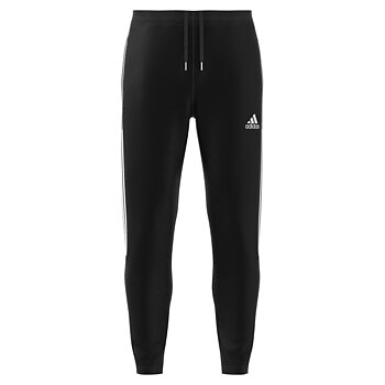 Adidas Traning Pant JR (LGM)