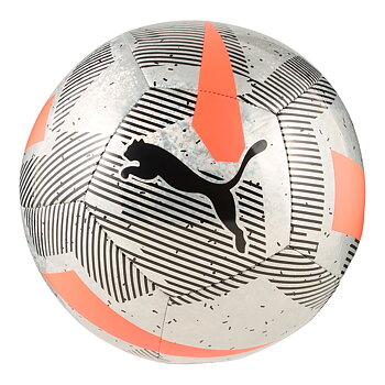 Puma Cage Ball Fotboll