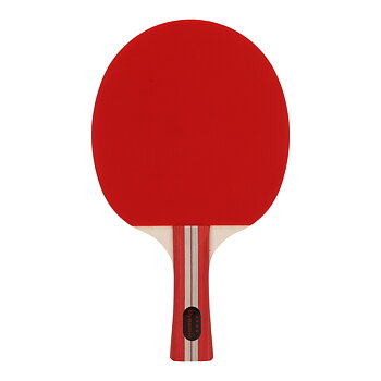 Racket Dynamic TT Set 4-Stjärnor Bordtennisset