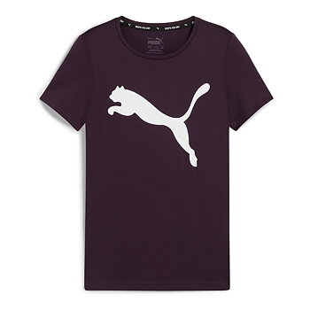 Puma Nordic Active Tee G