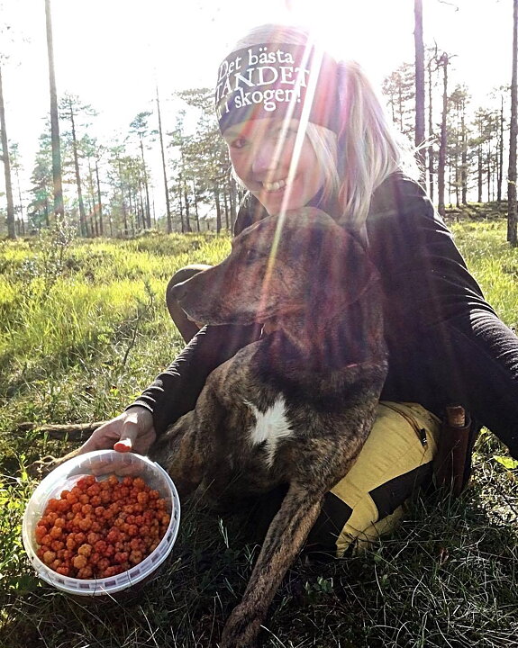 "Det bästa ståndet är i skogen" Pannband