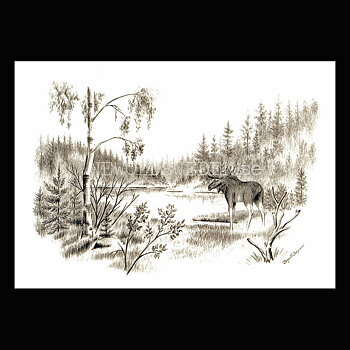 Älgtjur Moose - Birgitta Berglund Nr: 2 - Vykort A5