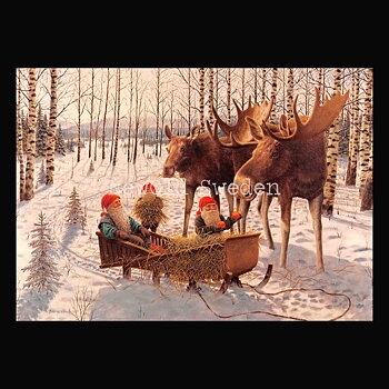 Möte i skogen Vykort 532 Jan Bergerlind - 905