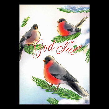 Domherre- God Jul - Sara Berntsson - 1012