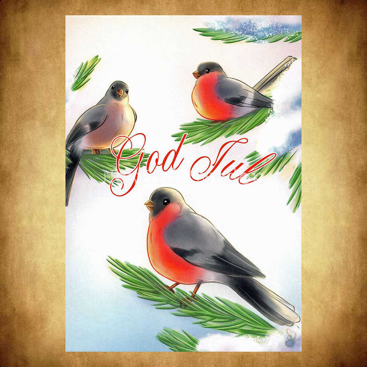 Domherre- God Jul - Sara Berntsson - 1012 - 2