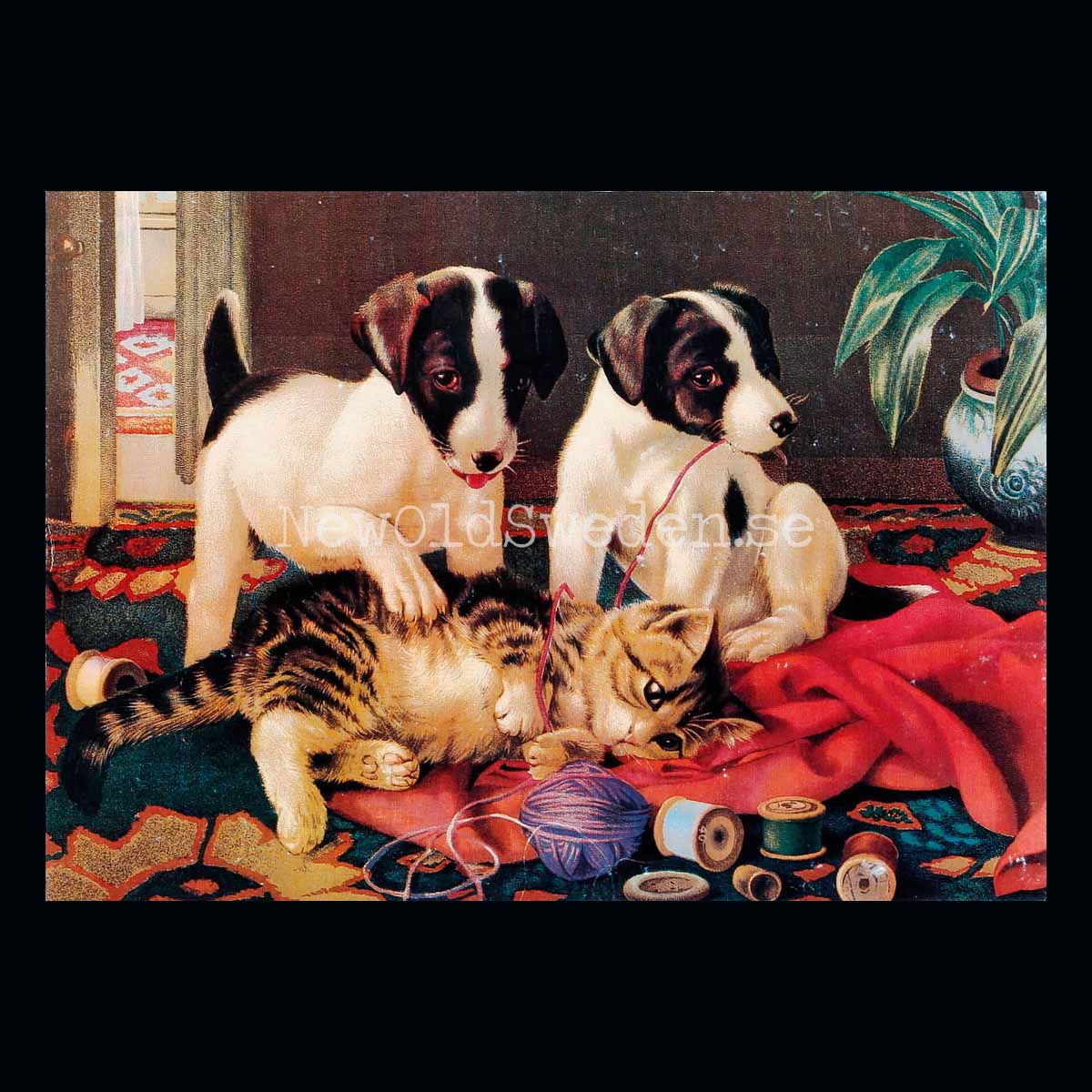 Kattunge & hundvalpar - Vykort A5