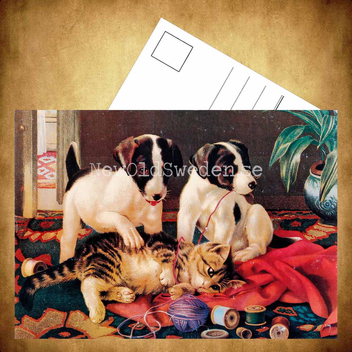 Kattunge & hundvalpar - Vykort A5 - 3