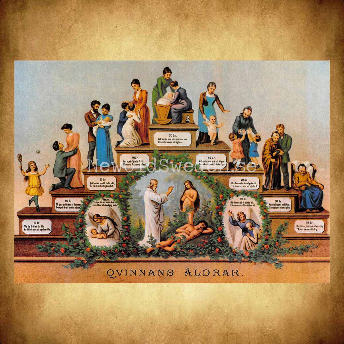 Quinnans åldrar - Vykort A5 - 2