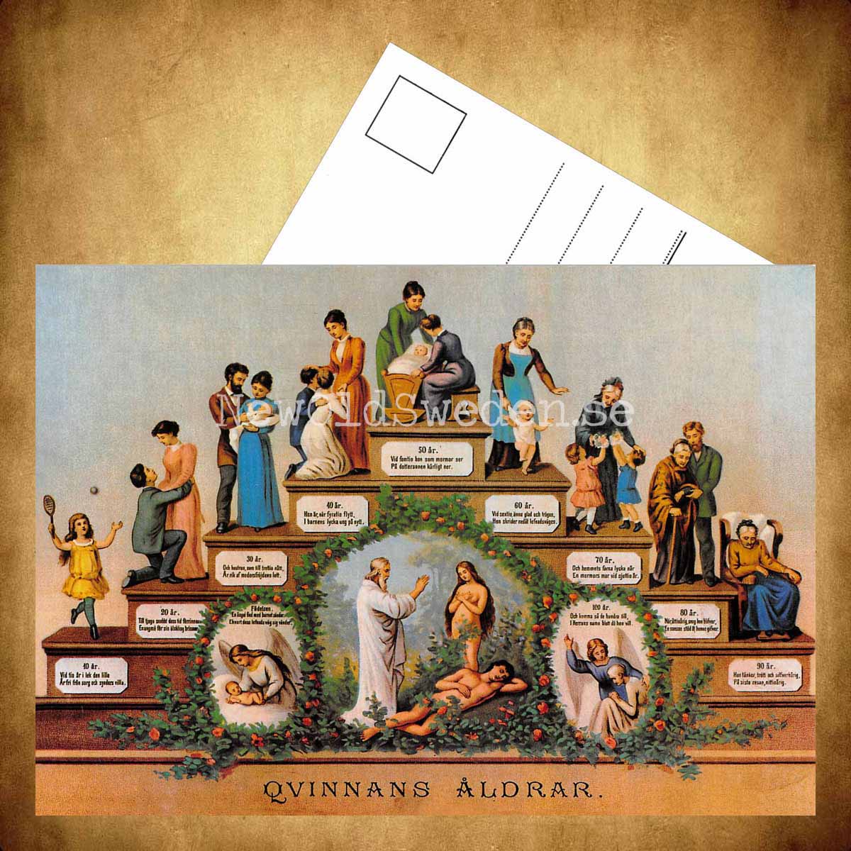 Quinnans åldrar - Vykort A5 - 3