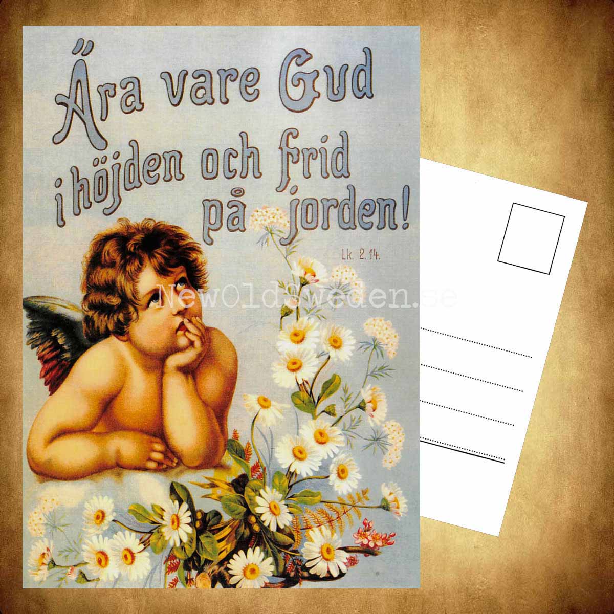 Ära vare Gud - Vykort A5 - 3