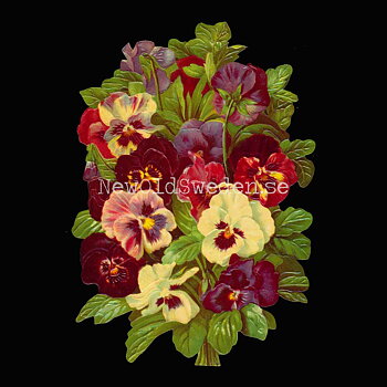 Pansies 11x16 cm - Bokmärke © Ernst Freihoff 5087