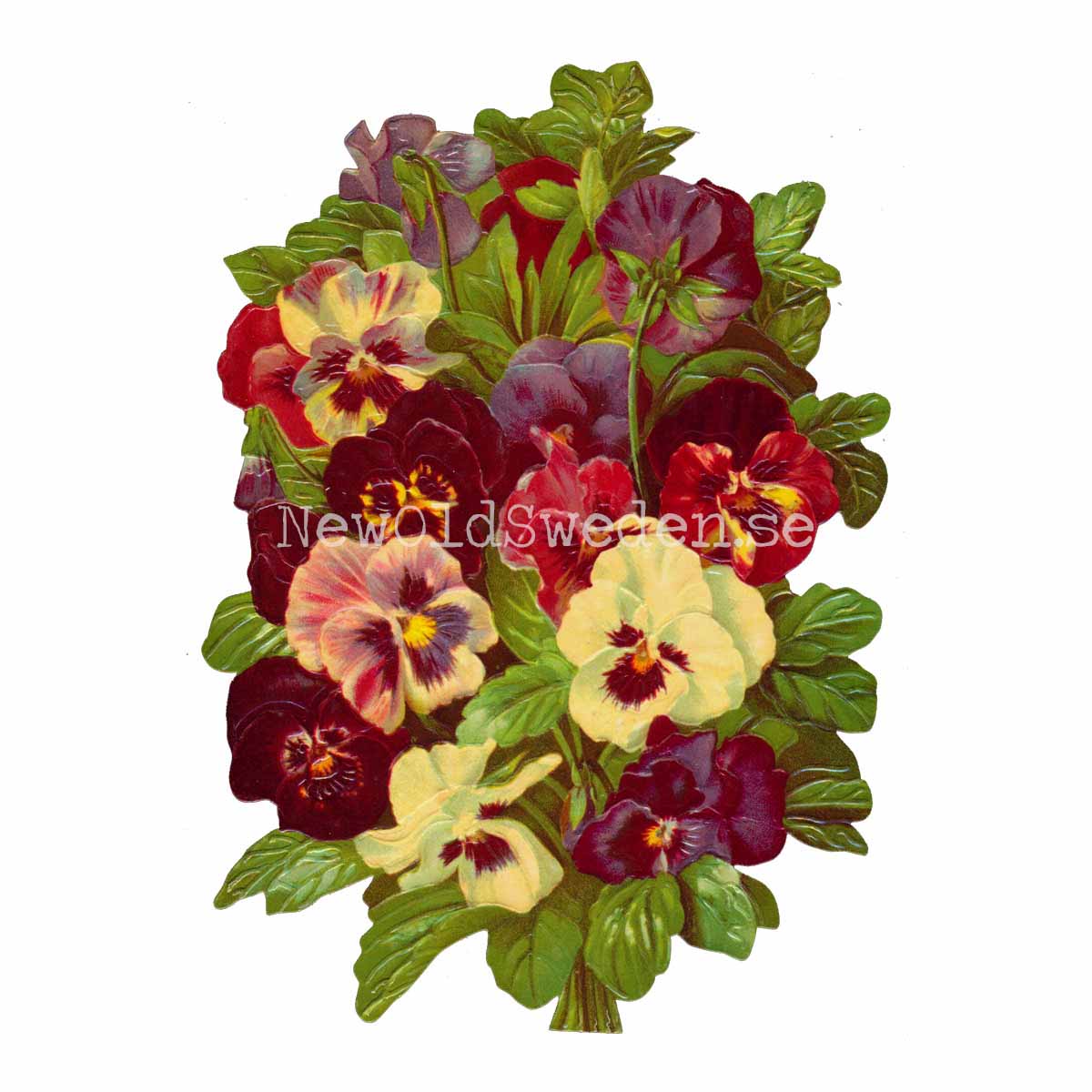 Pansies 11x16 cm - Bokmärke © Ernst Freihoff 5087 - 3
